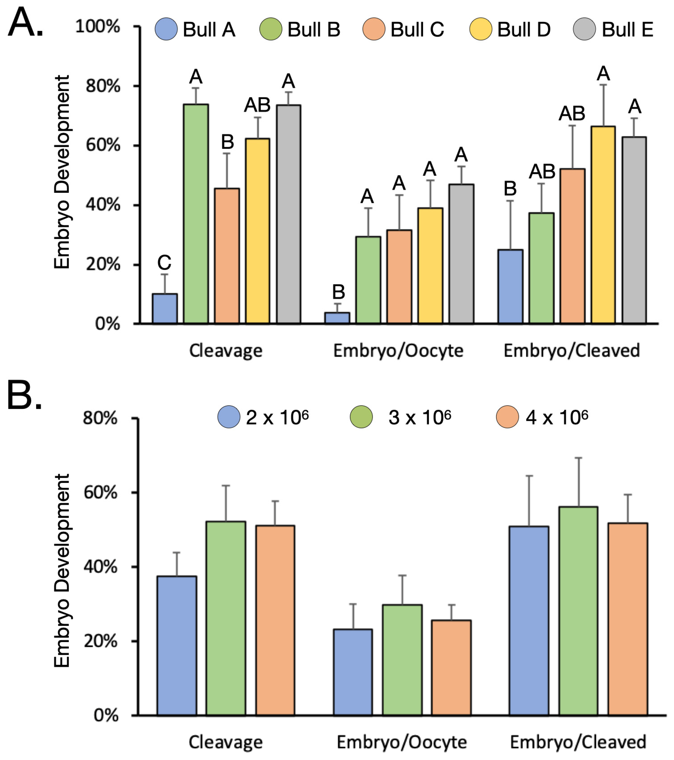 Animals | Free Full-Text | Factors Affecting The Efficiency Of In Vitro ...