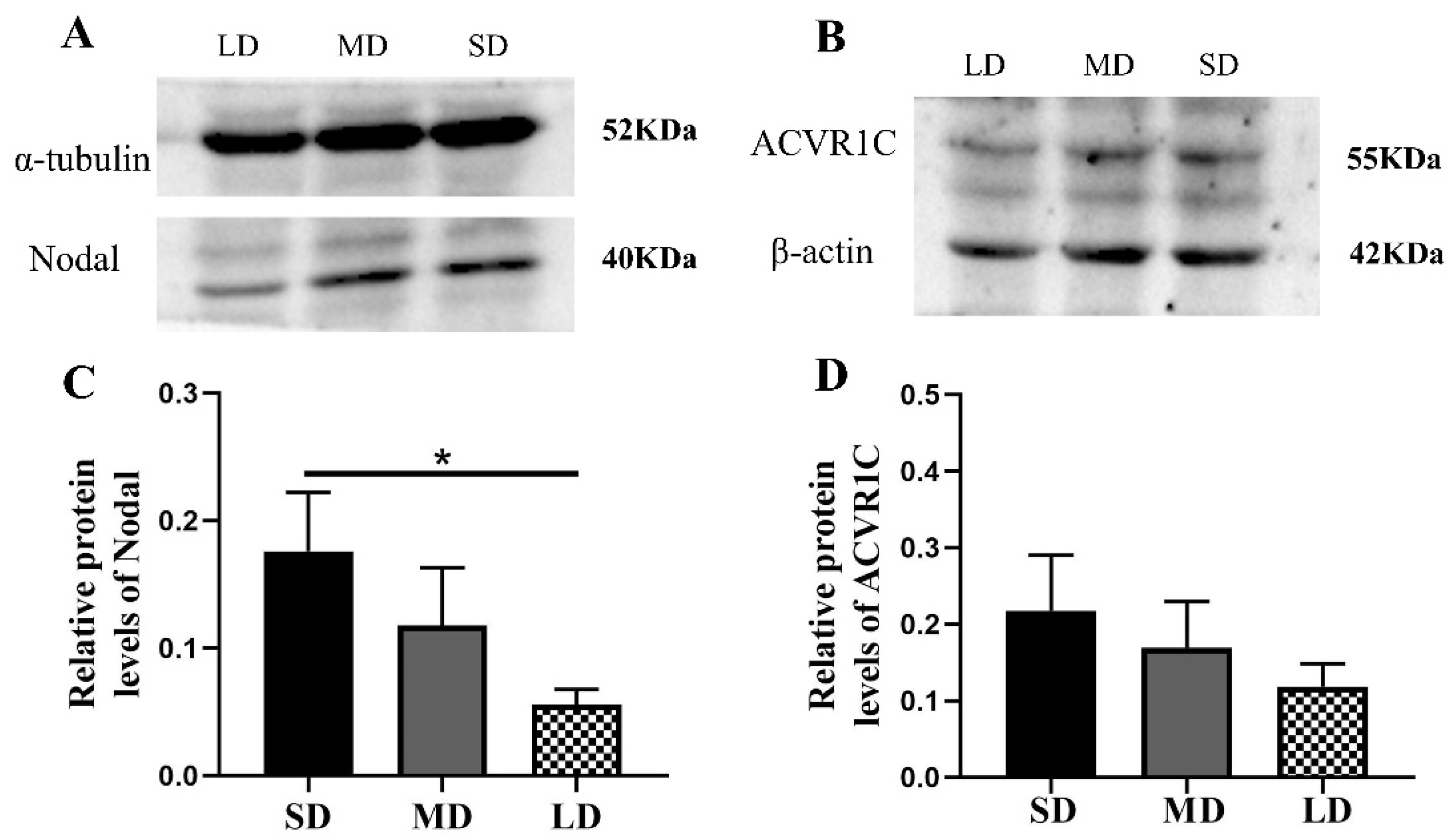 Animals 12 03570 g007 Animals 12 03570 g007