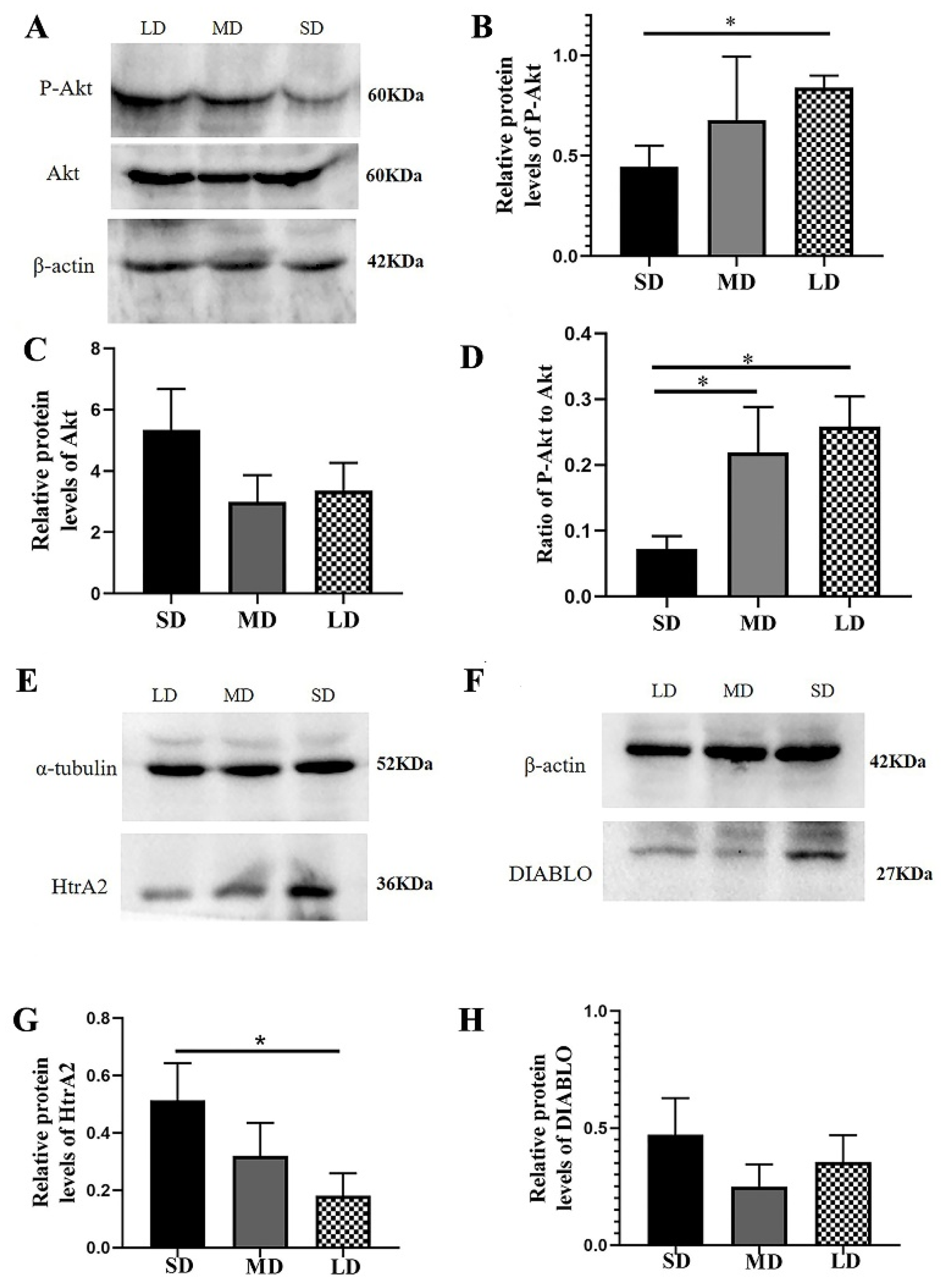 Animals 12 03570 g009 Animals 12 03570 g009
