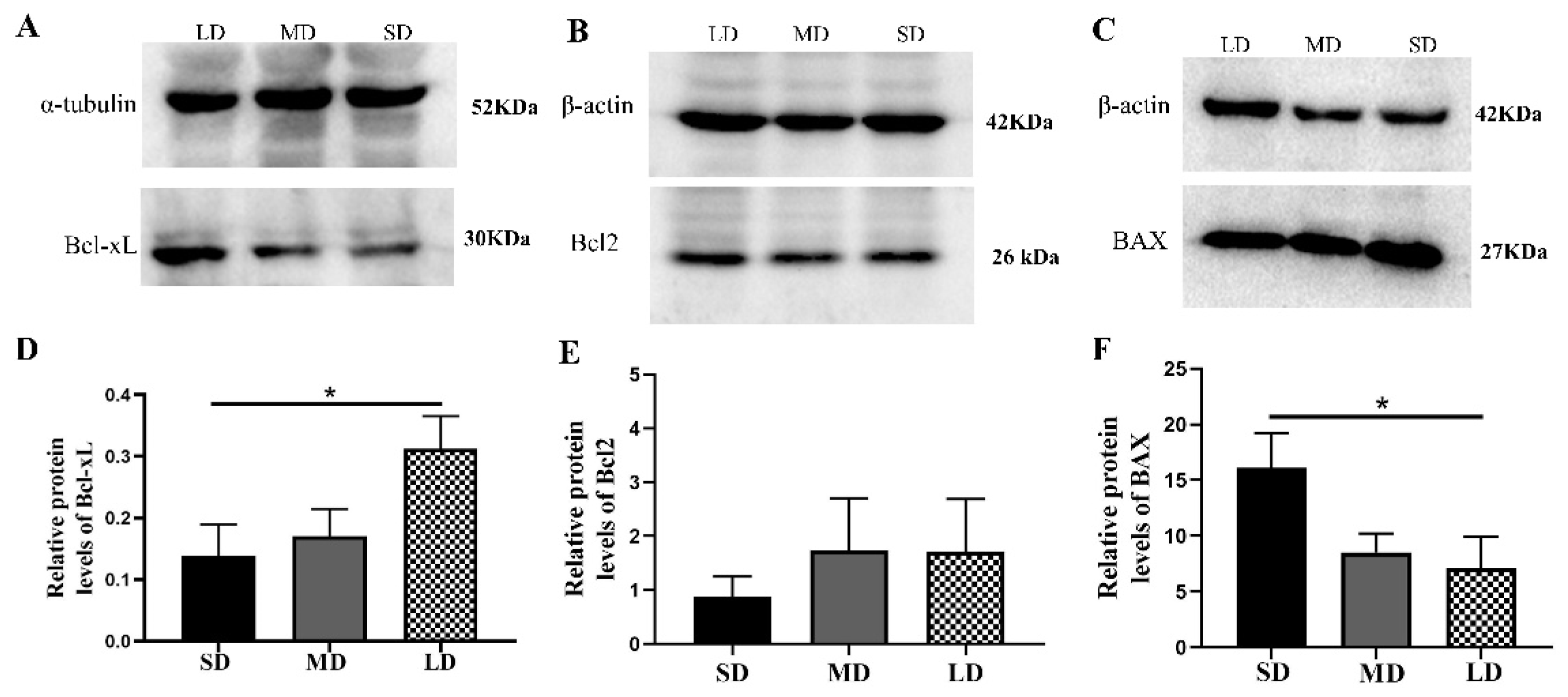 Animals 12 03570 g010 Animals 12 03570 g010