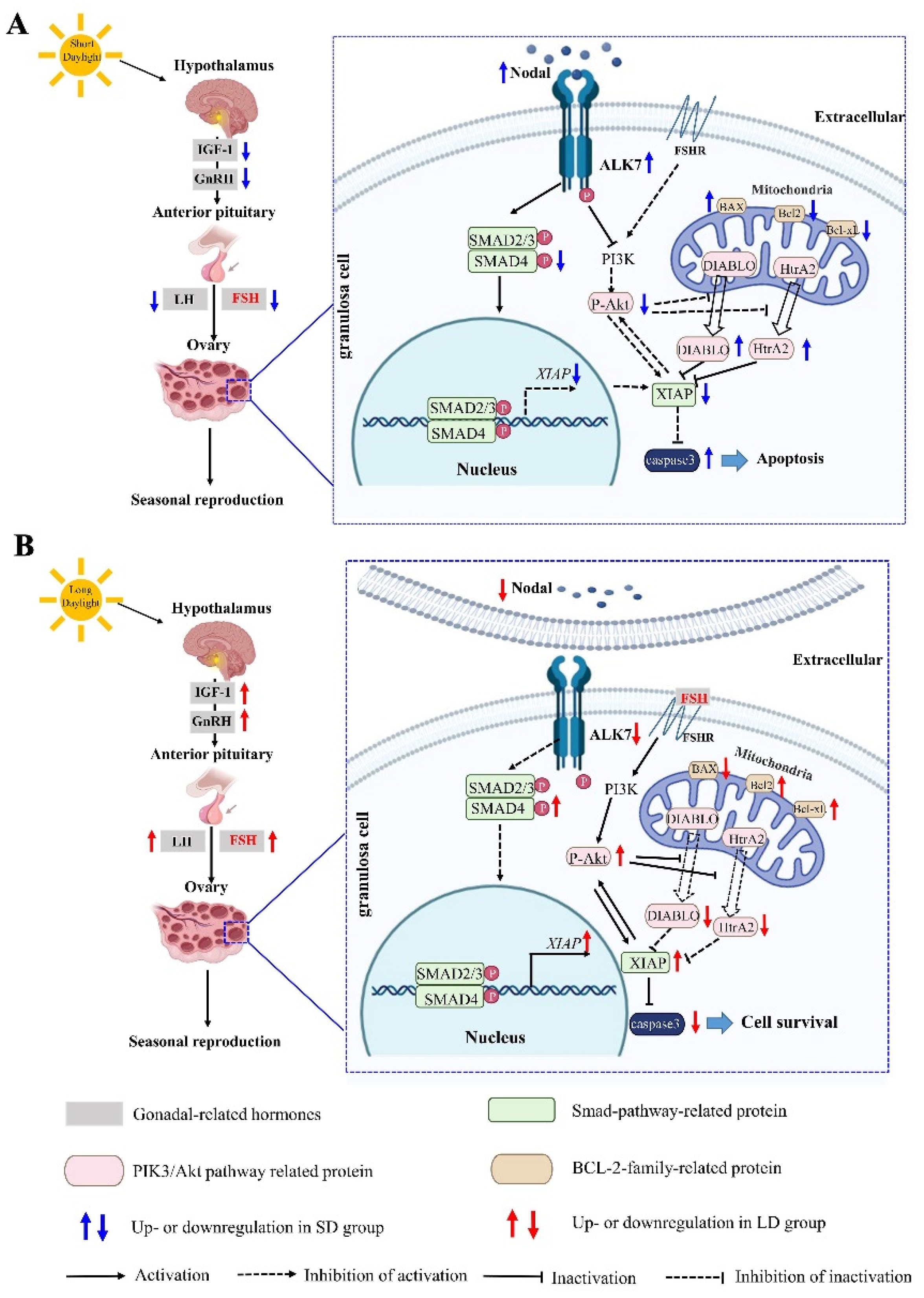 Animals 12 03570 g012 Animals 12 03570 g012