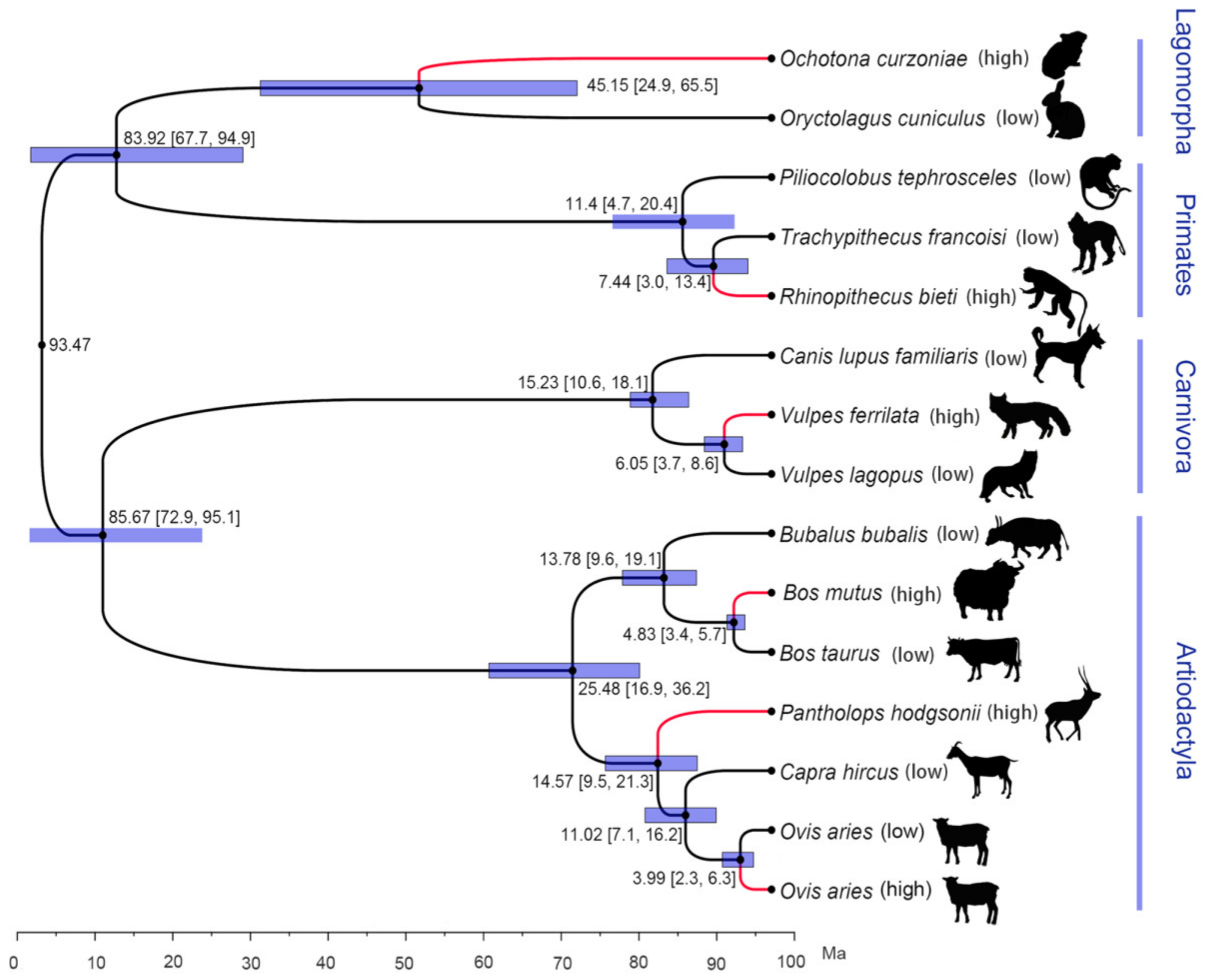 Animals 12 03572 g001