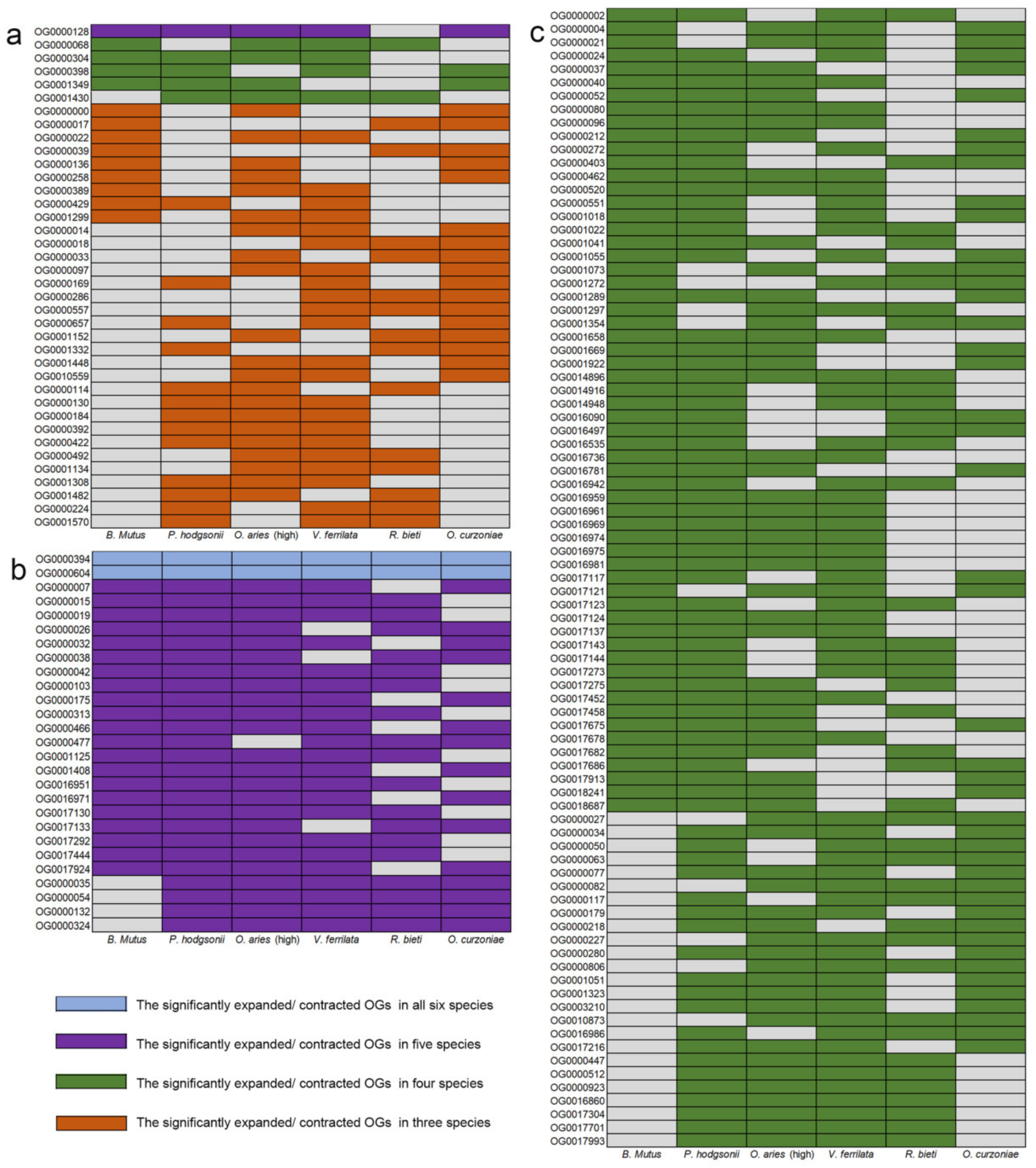 Animals 12 03572 g003