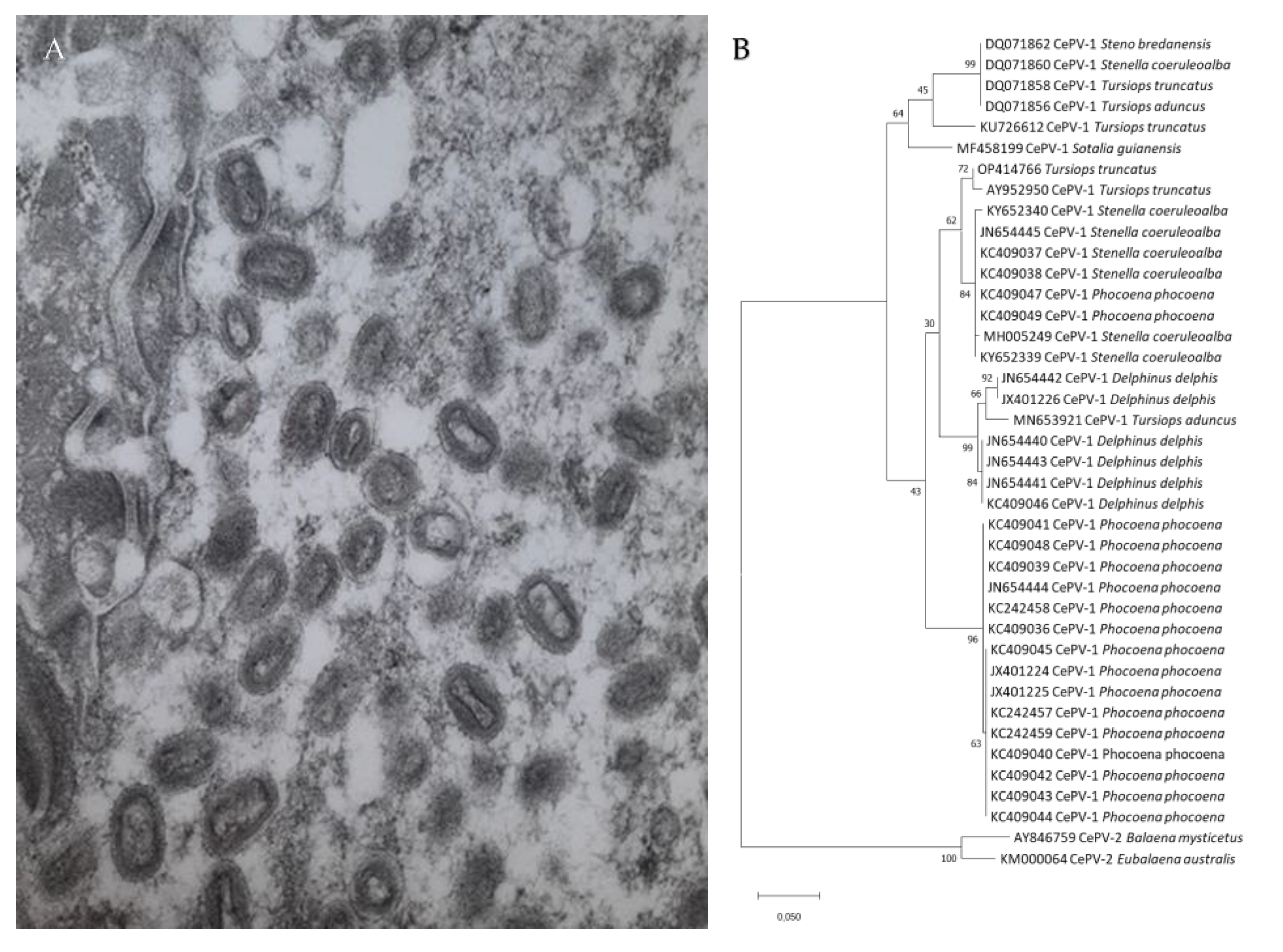 Animals 12 03581 g002