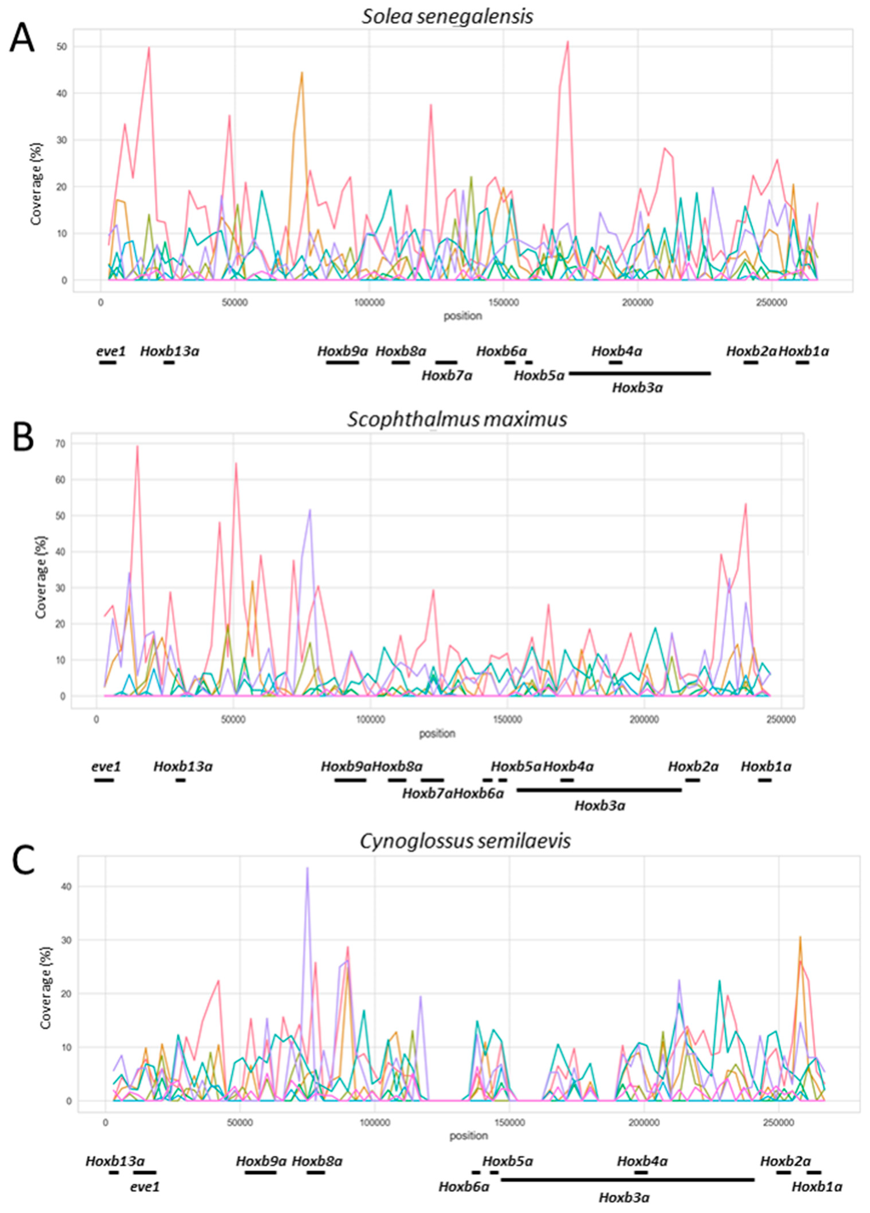 Animals 12 03586 g003 Animals 12 03586 g003