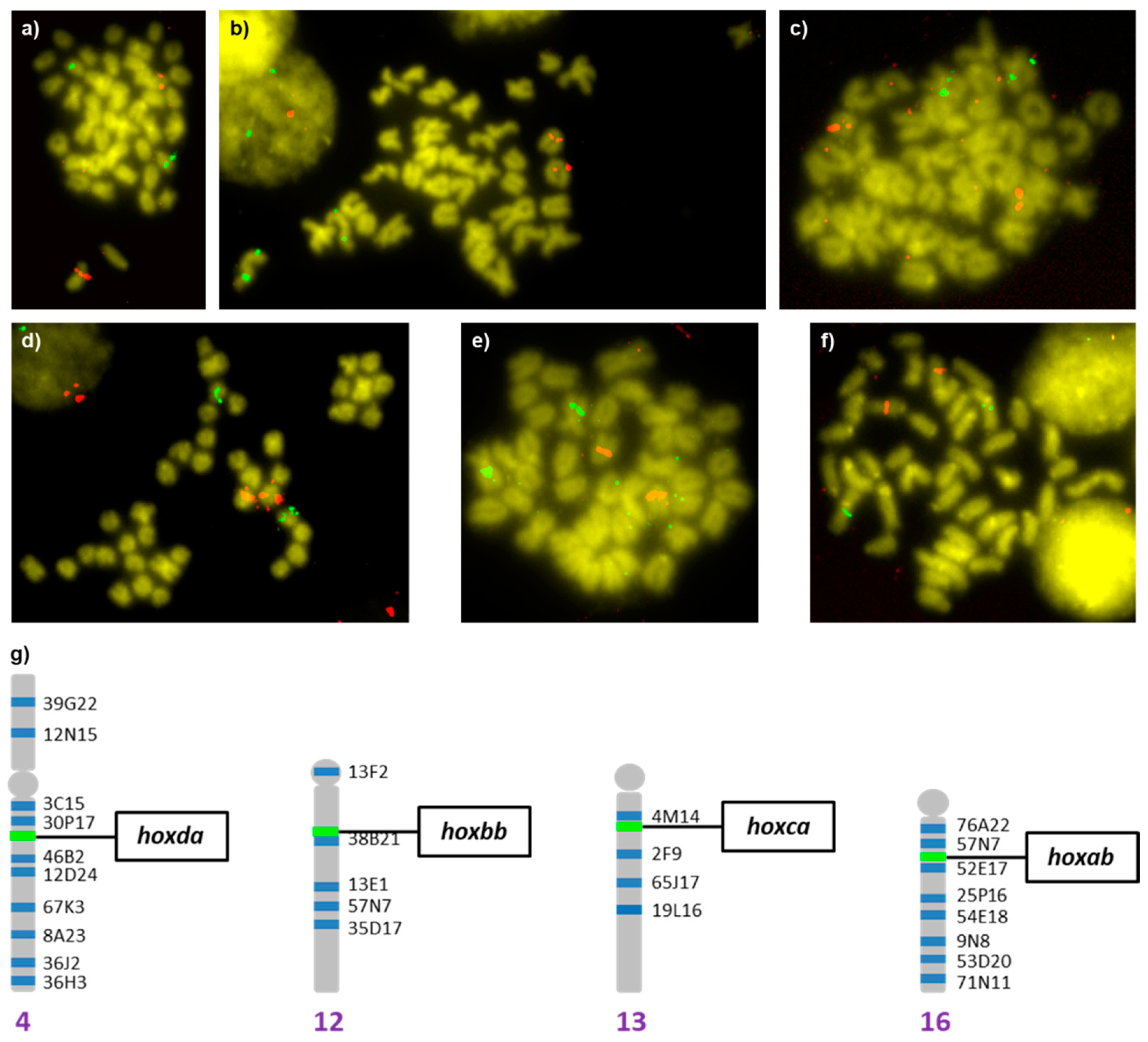 Animals 12 03586 g004 Animals 12 03586 g004