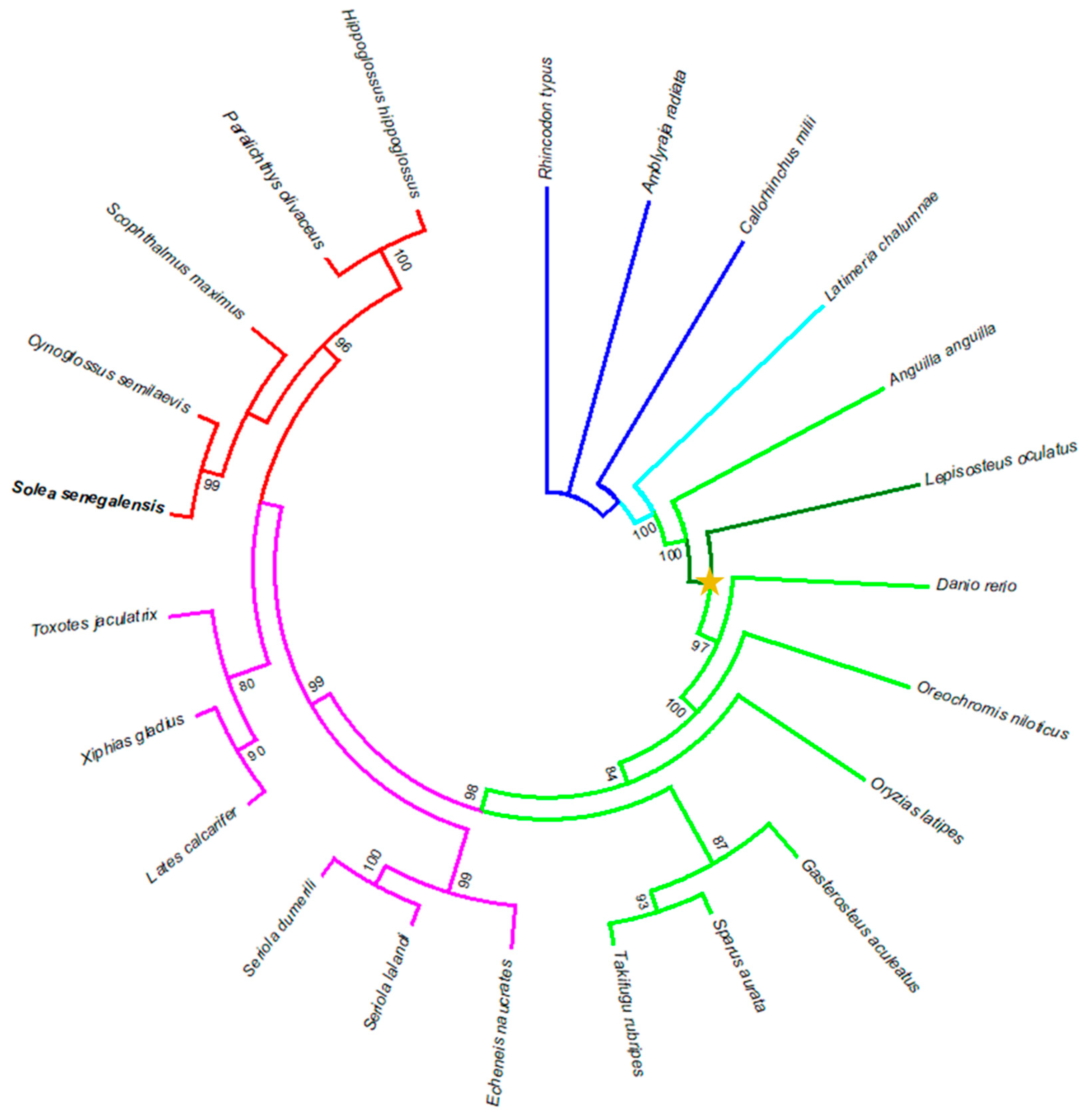 Animals 12 03586 g006 Animals 12 03586 g006