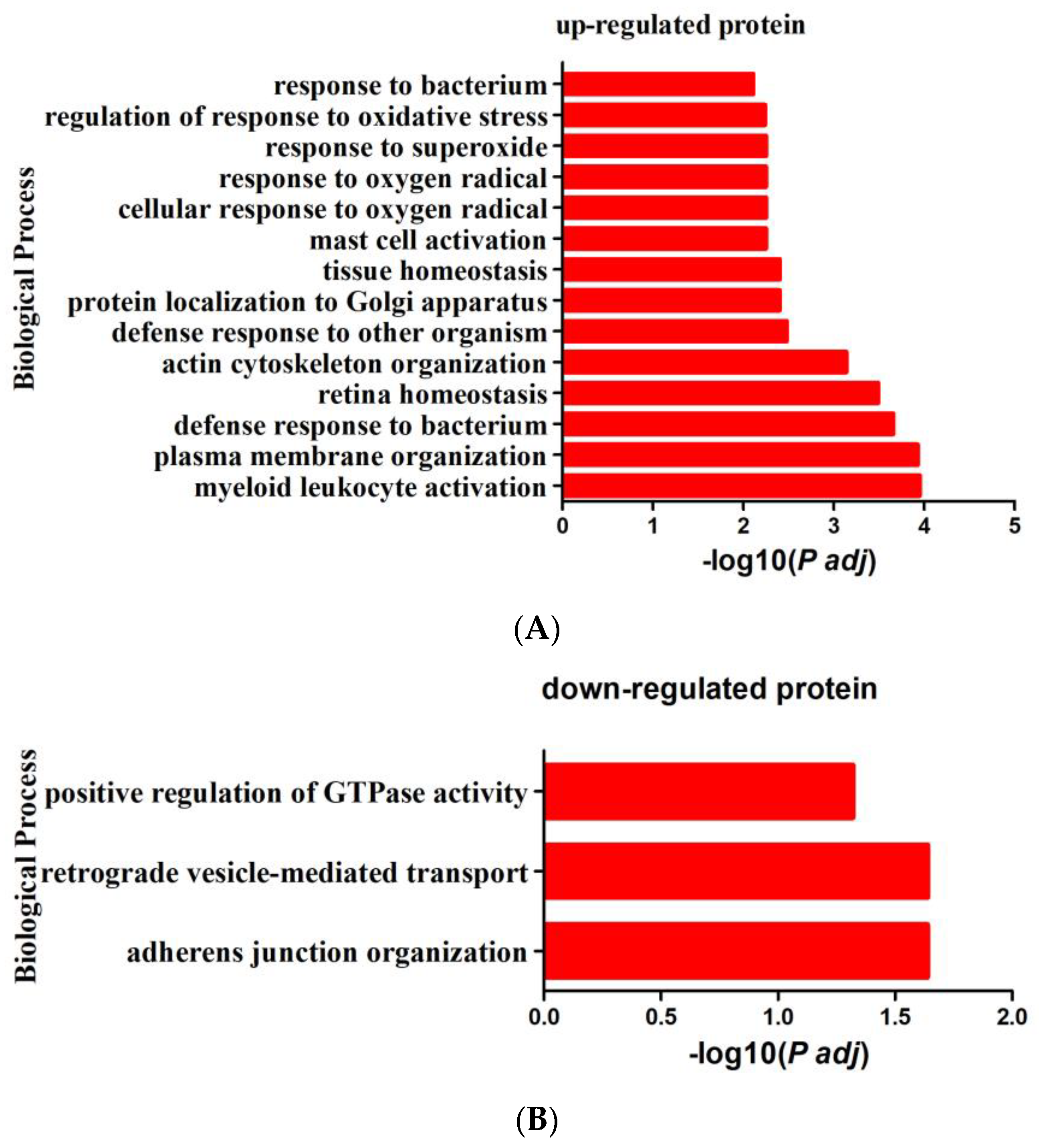 Animals 13 00078 g004a Animals 13 00078 g004a