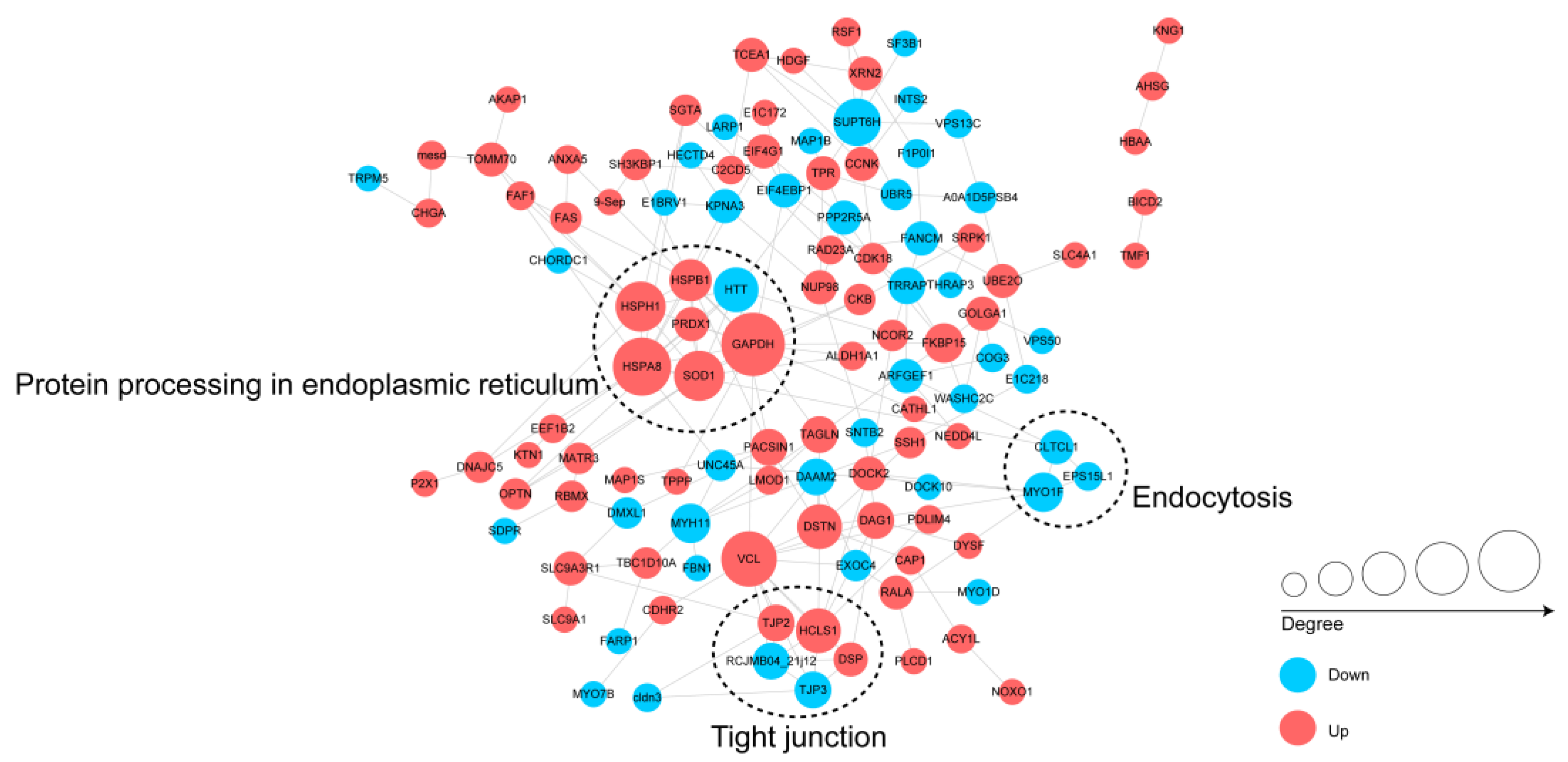 Animals 13 00078 g006 Animals 13 00078 g006