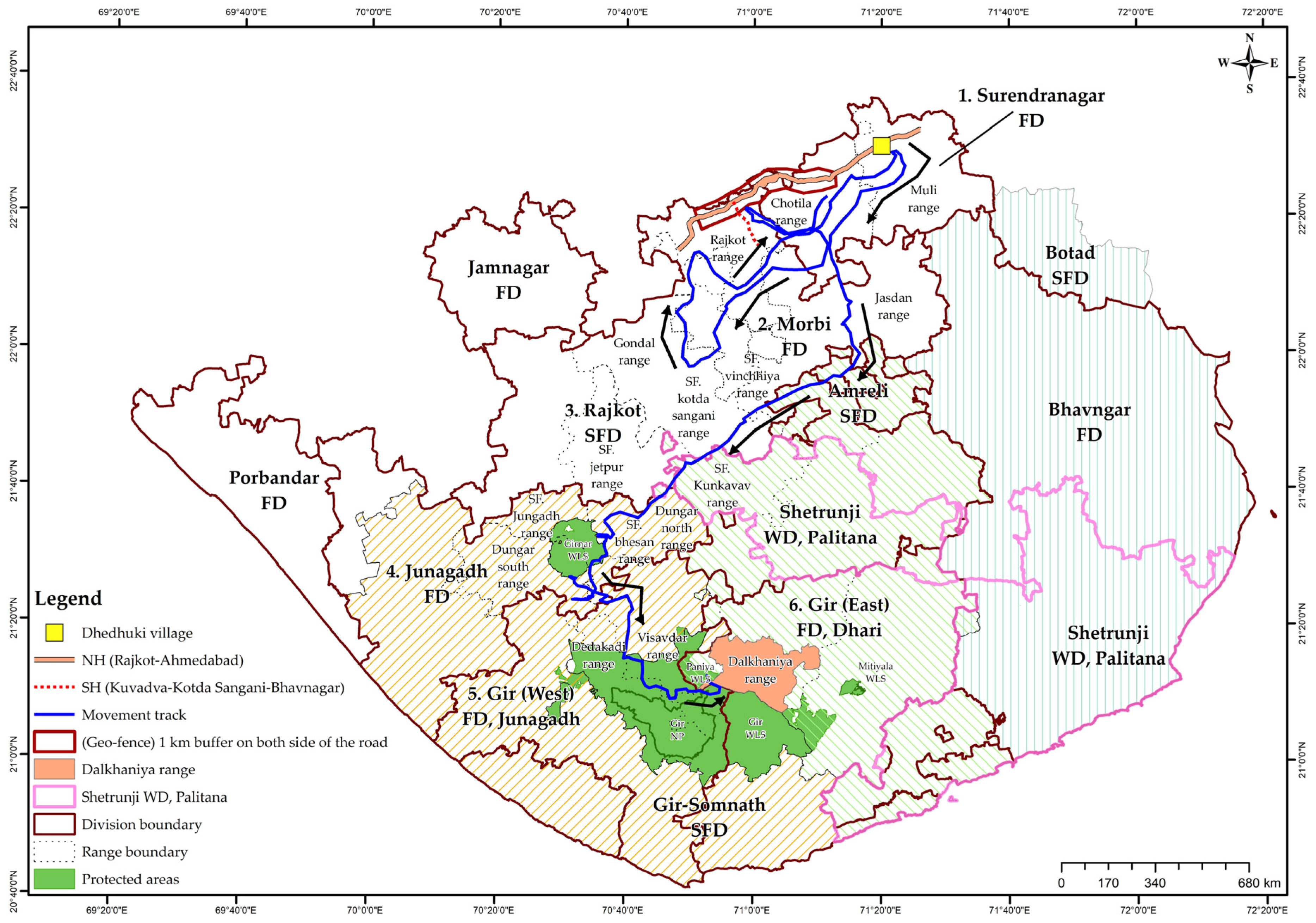 Explained: Why Gujarat Forest Department is radio-collaring lions