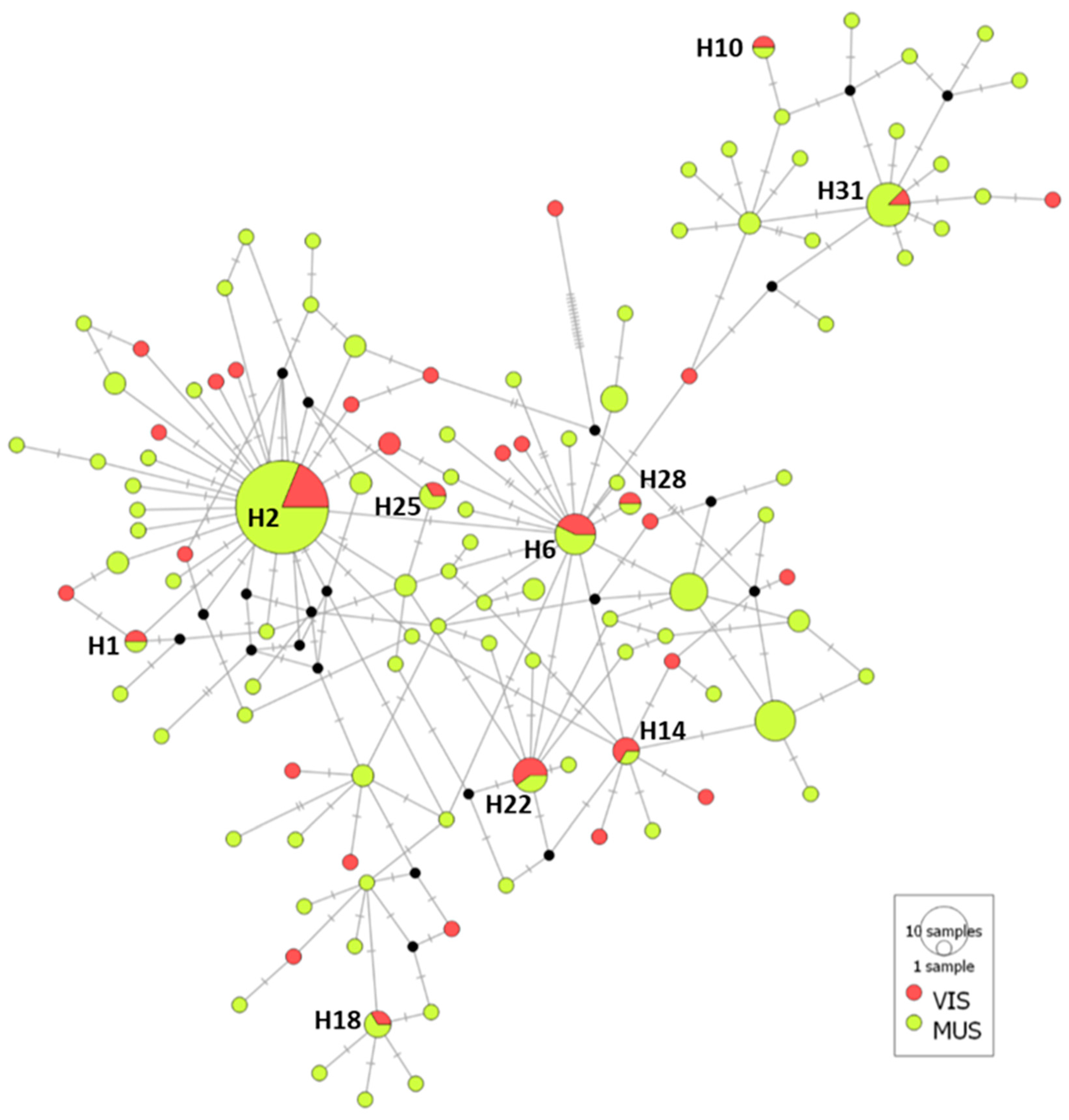 Animals 13 00197 g004 Animals 13 00197 g004