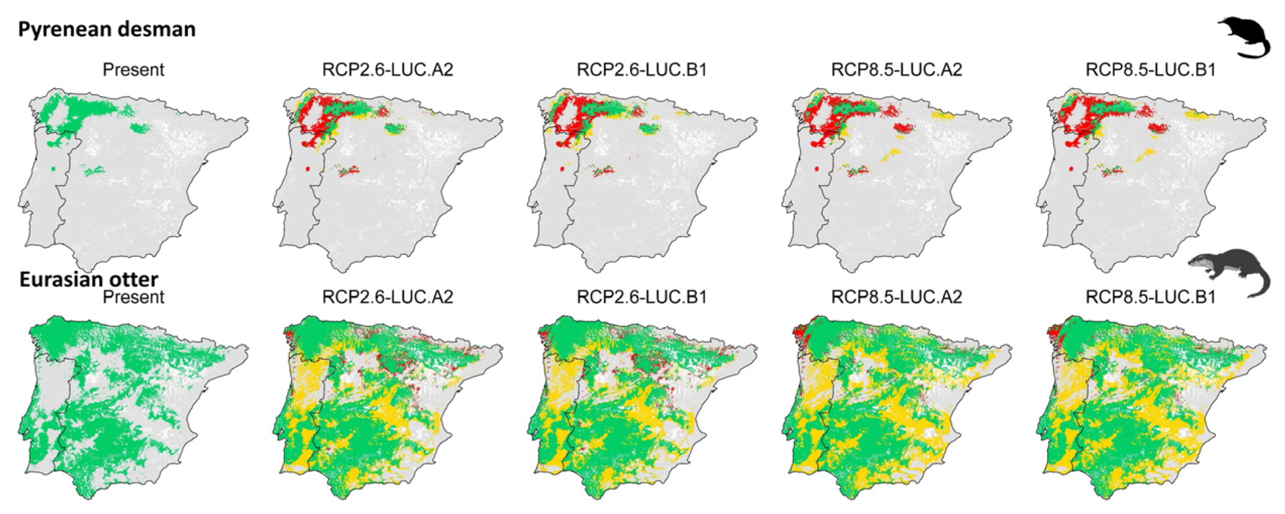Animals 13 00274 g004