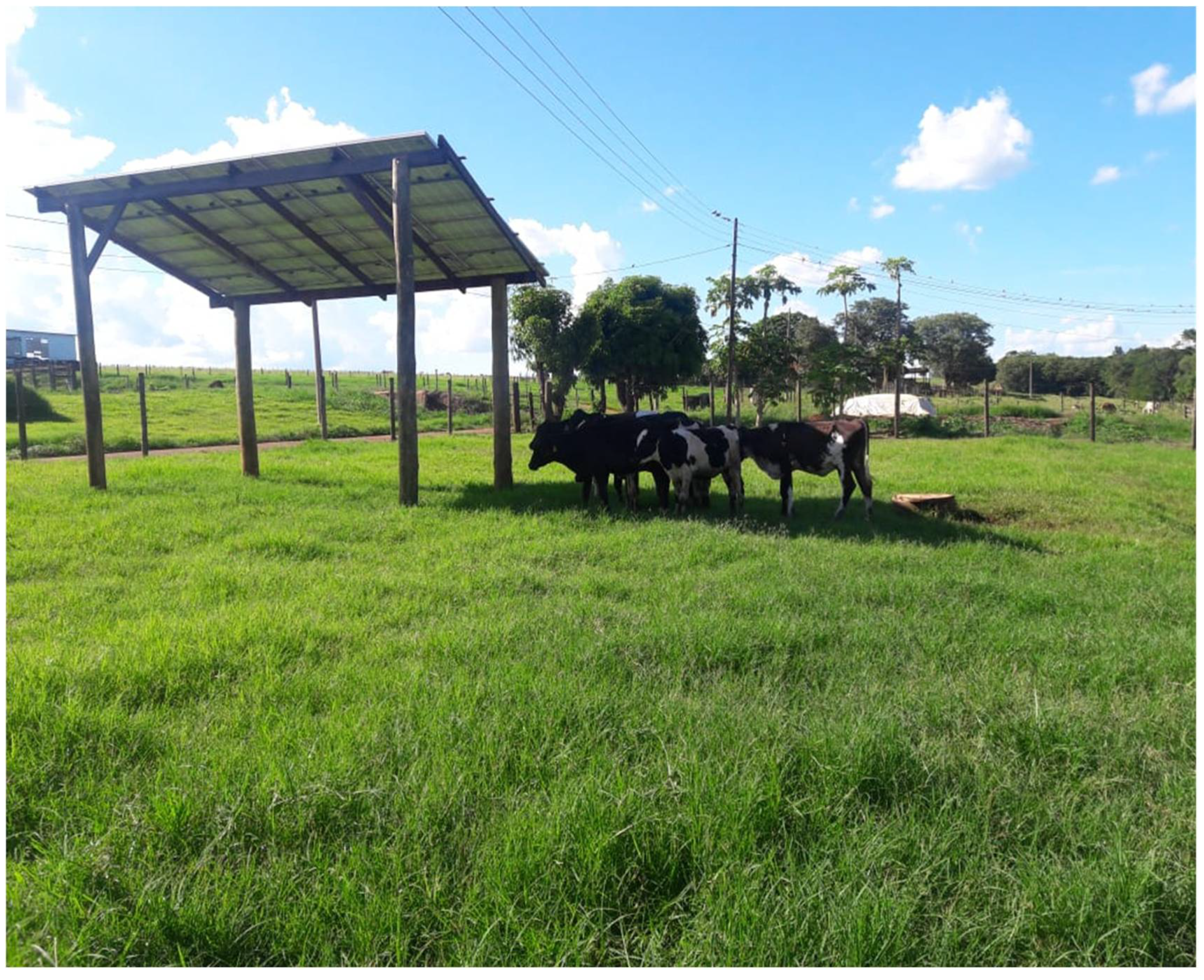 Animals 13 00329 g001