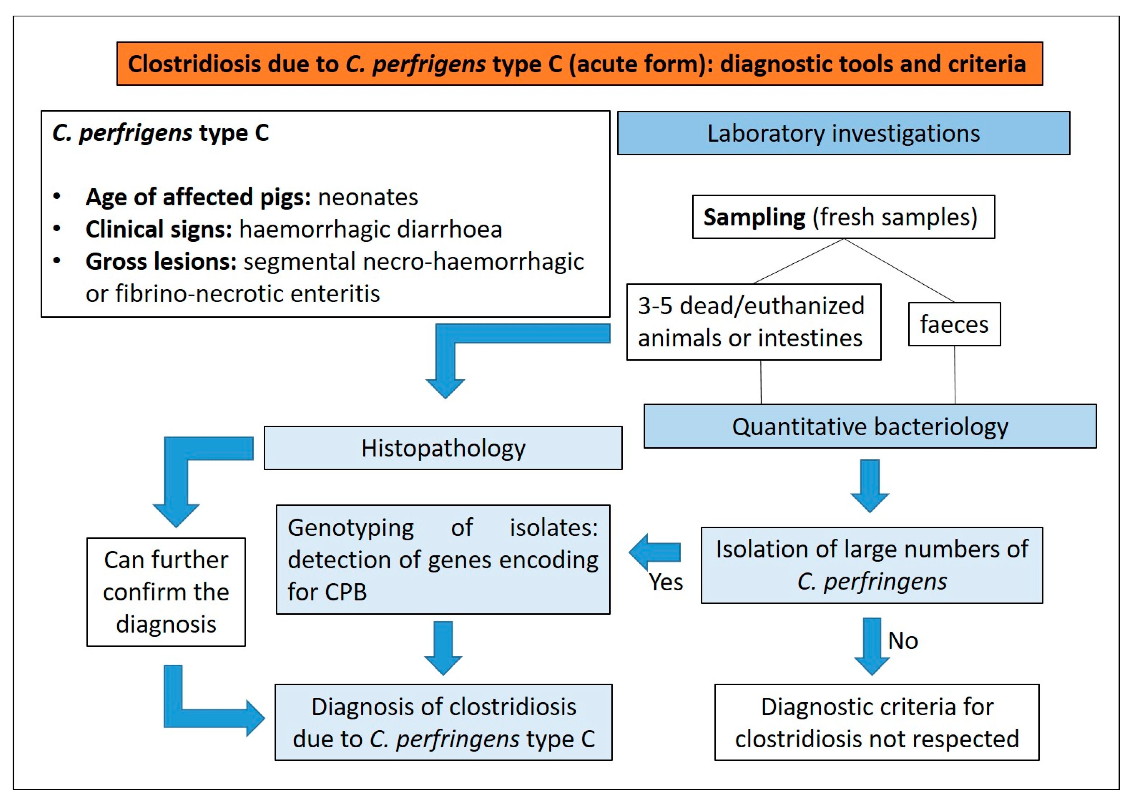 Animals 13 00338 g011