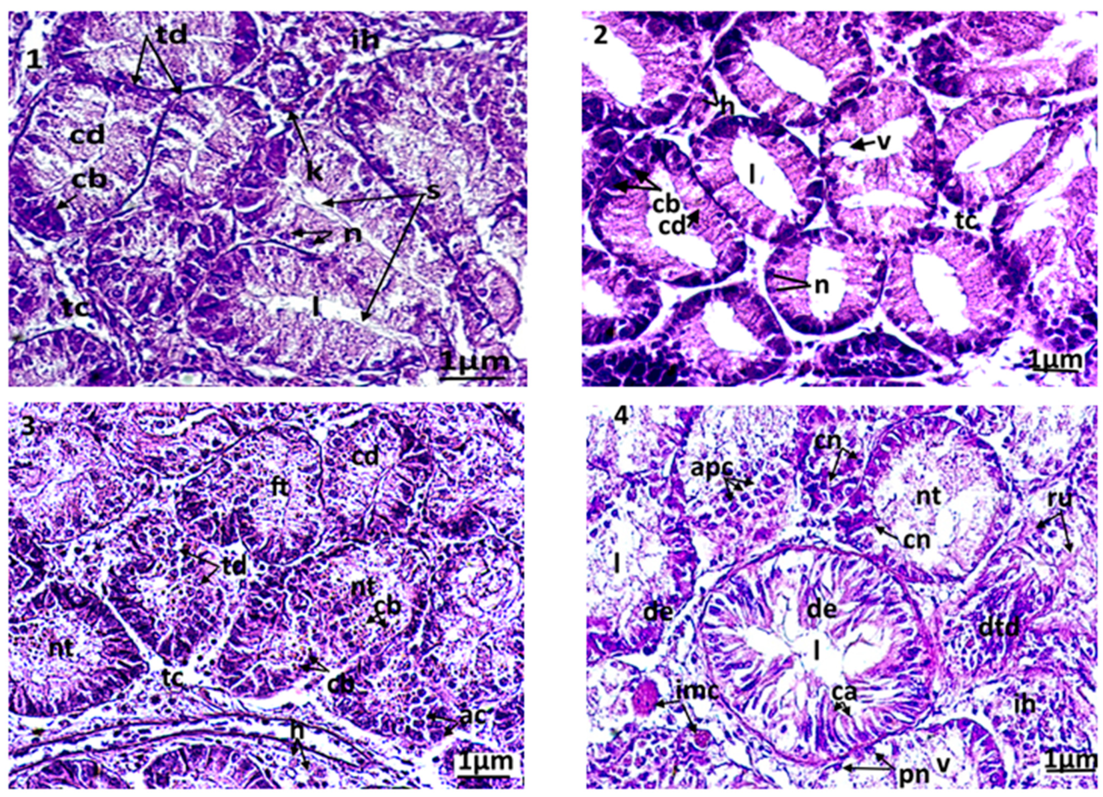 Animals 13 00402 g004