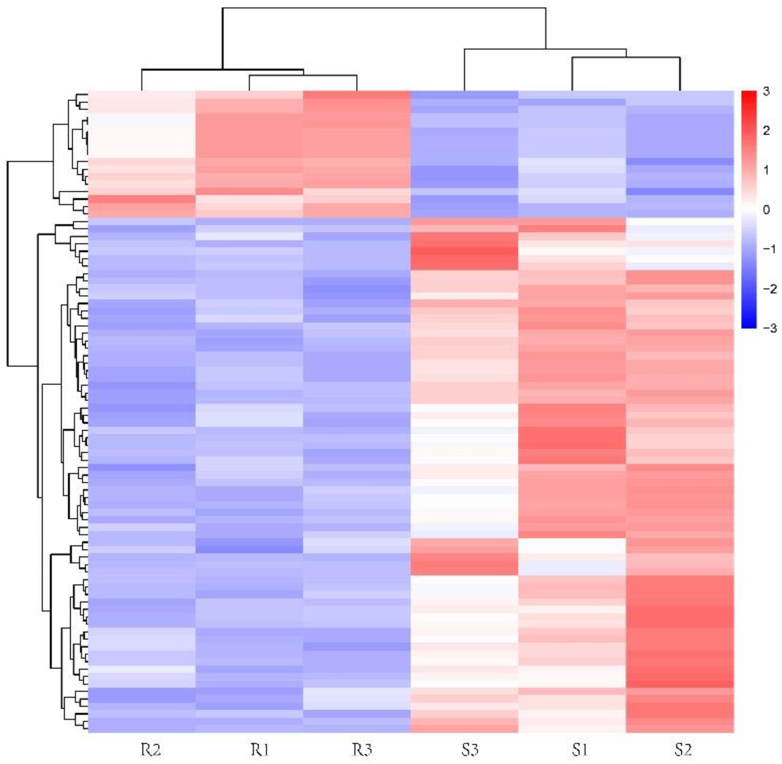 Animals 13 00456 g004 Animals 13 00456 g004