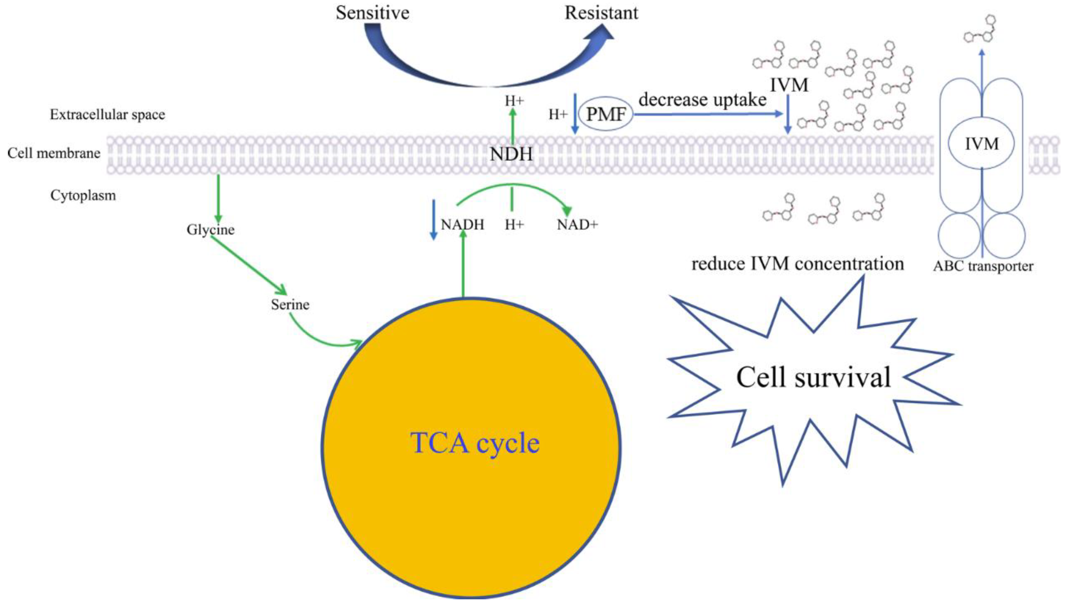 Animals 13 00456 g006 Animals 13 00456 g006