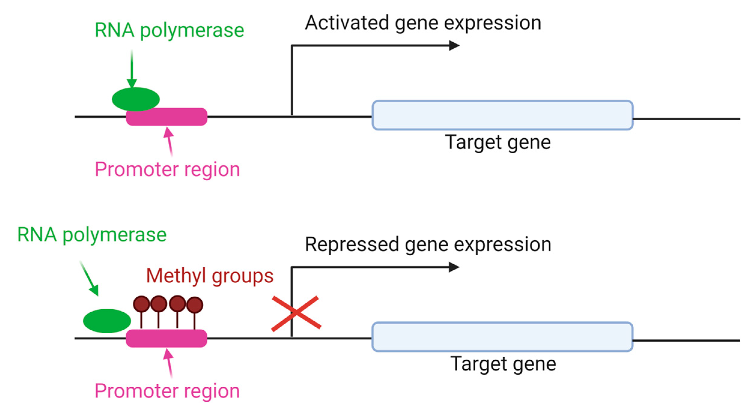 Animals 13 00468 g004 Animals 13 00468 g004