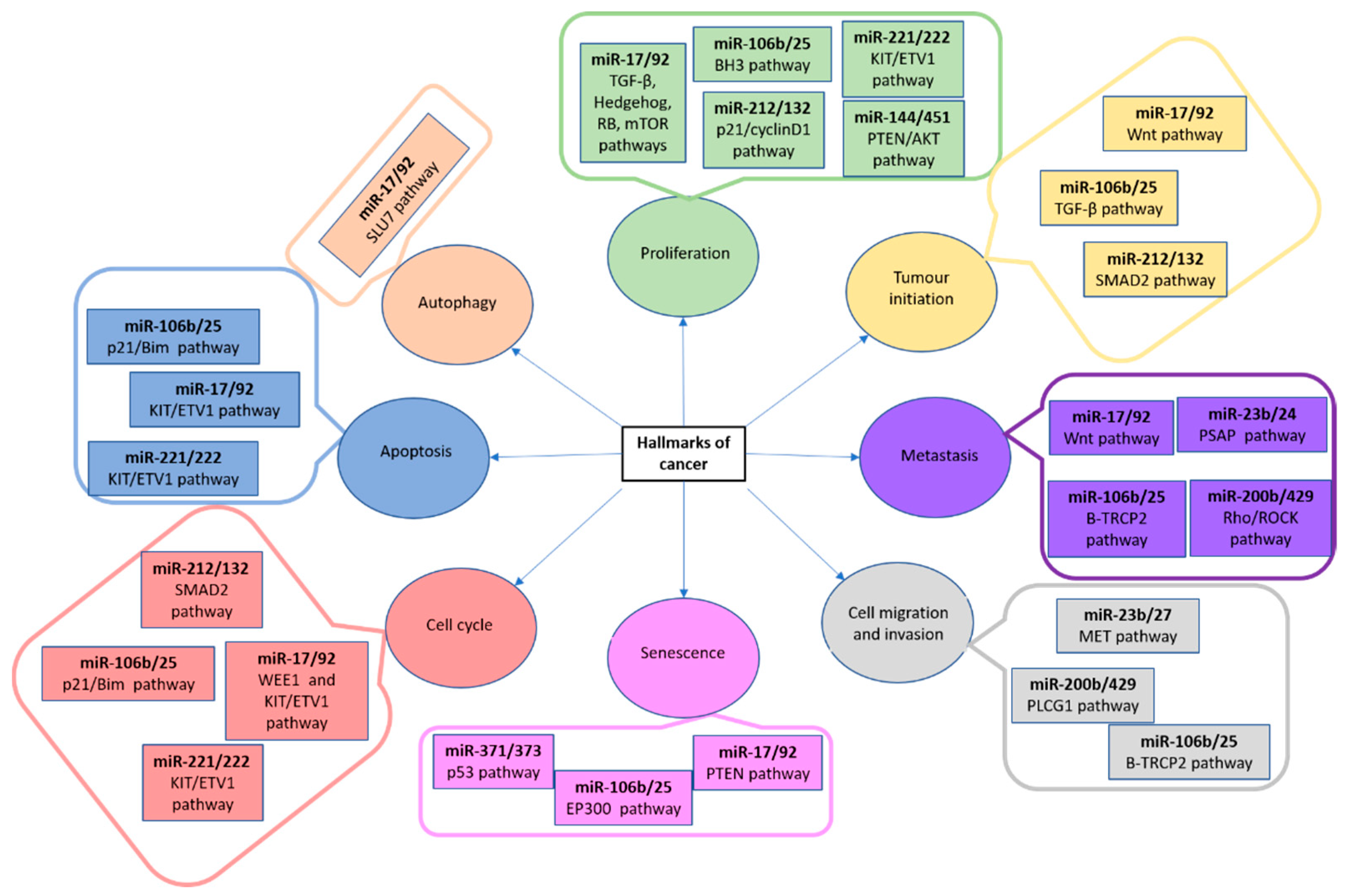 Animals 13 00468 g006 Animals 13 00468 g006