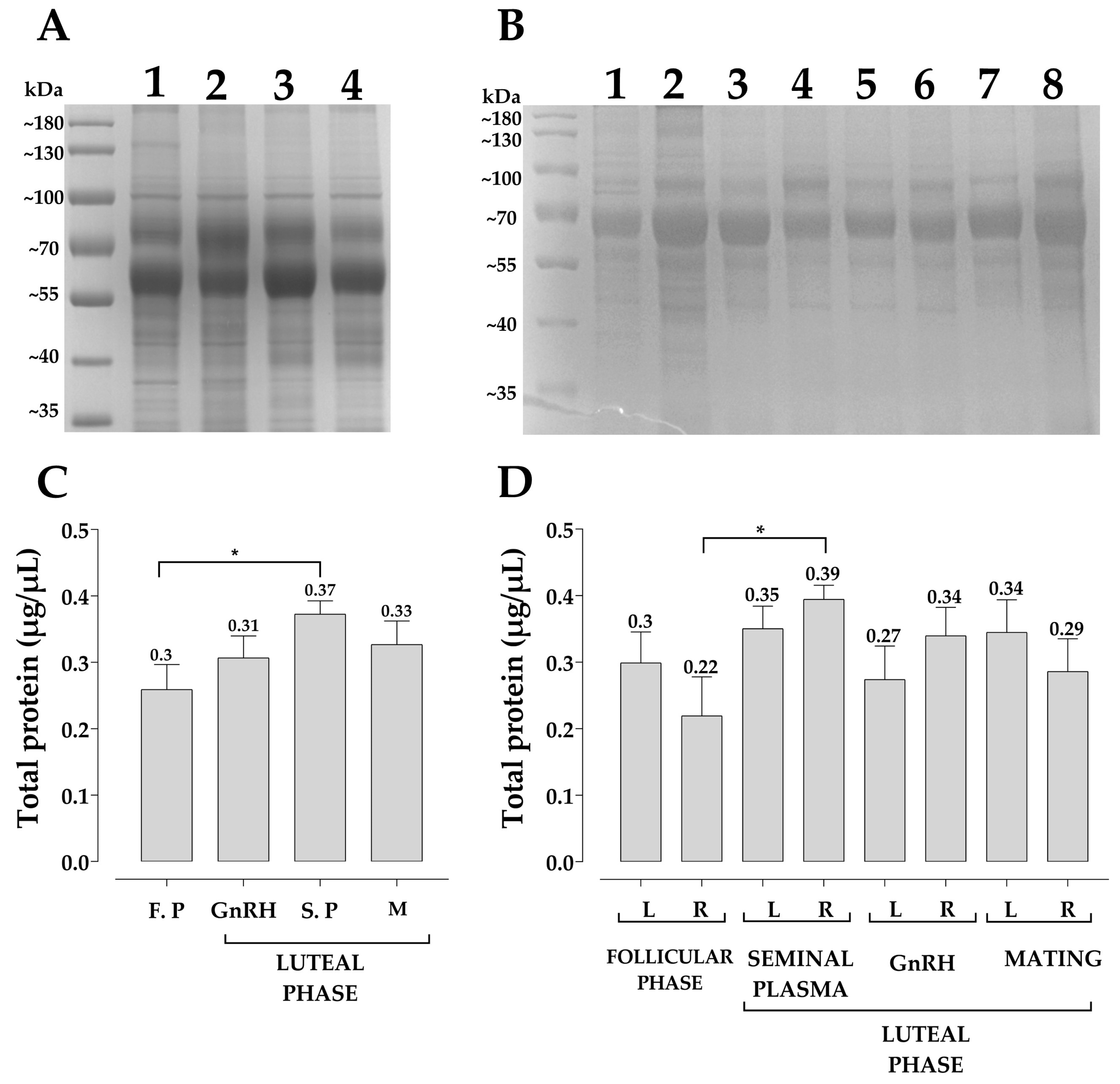 Animals 13 00554 g002 Animals 13 00554 g002
