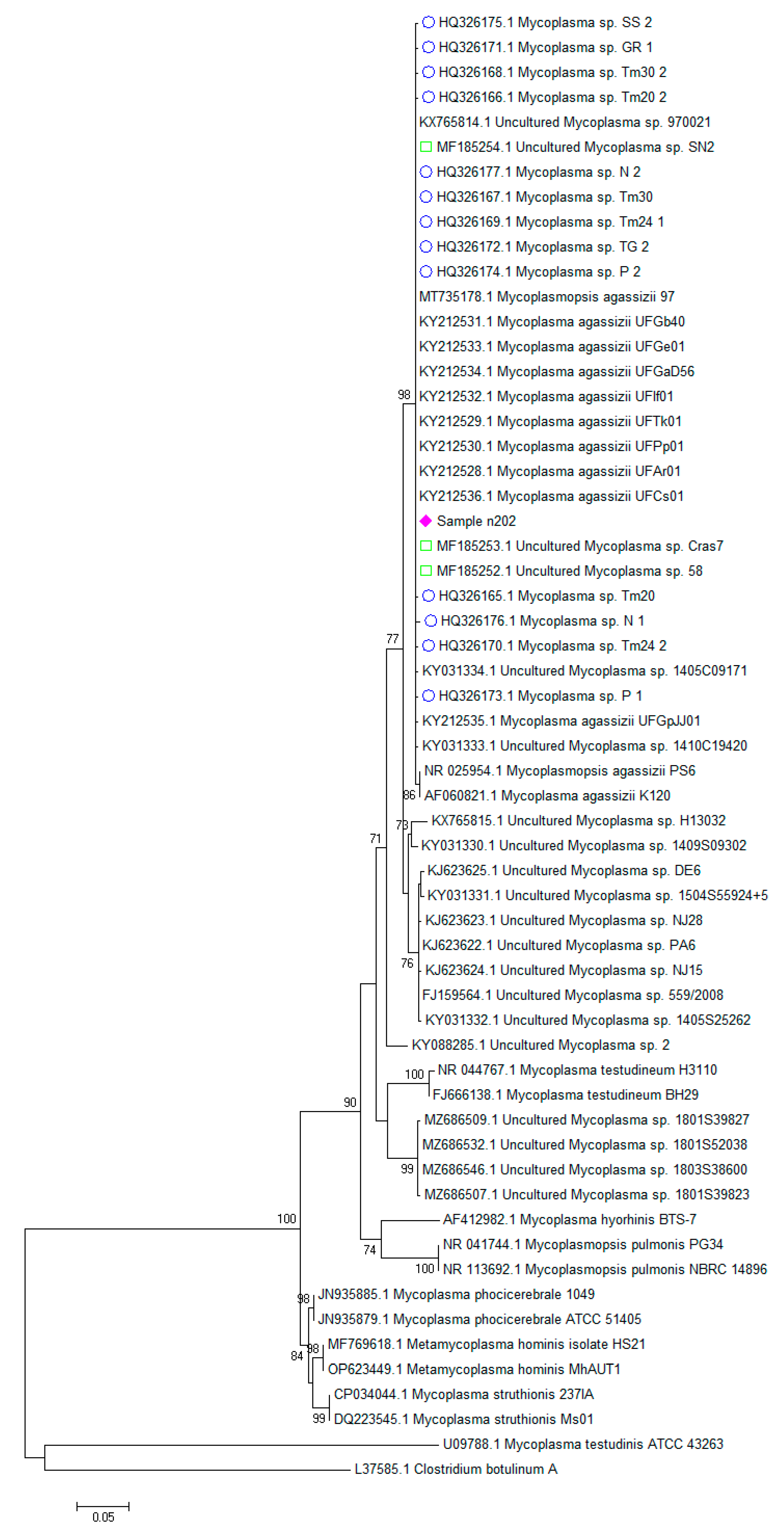 Animals 13 00588 g001