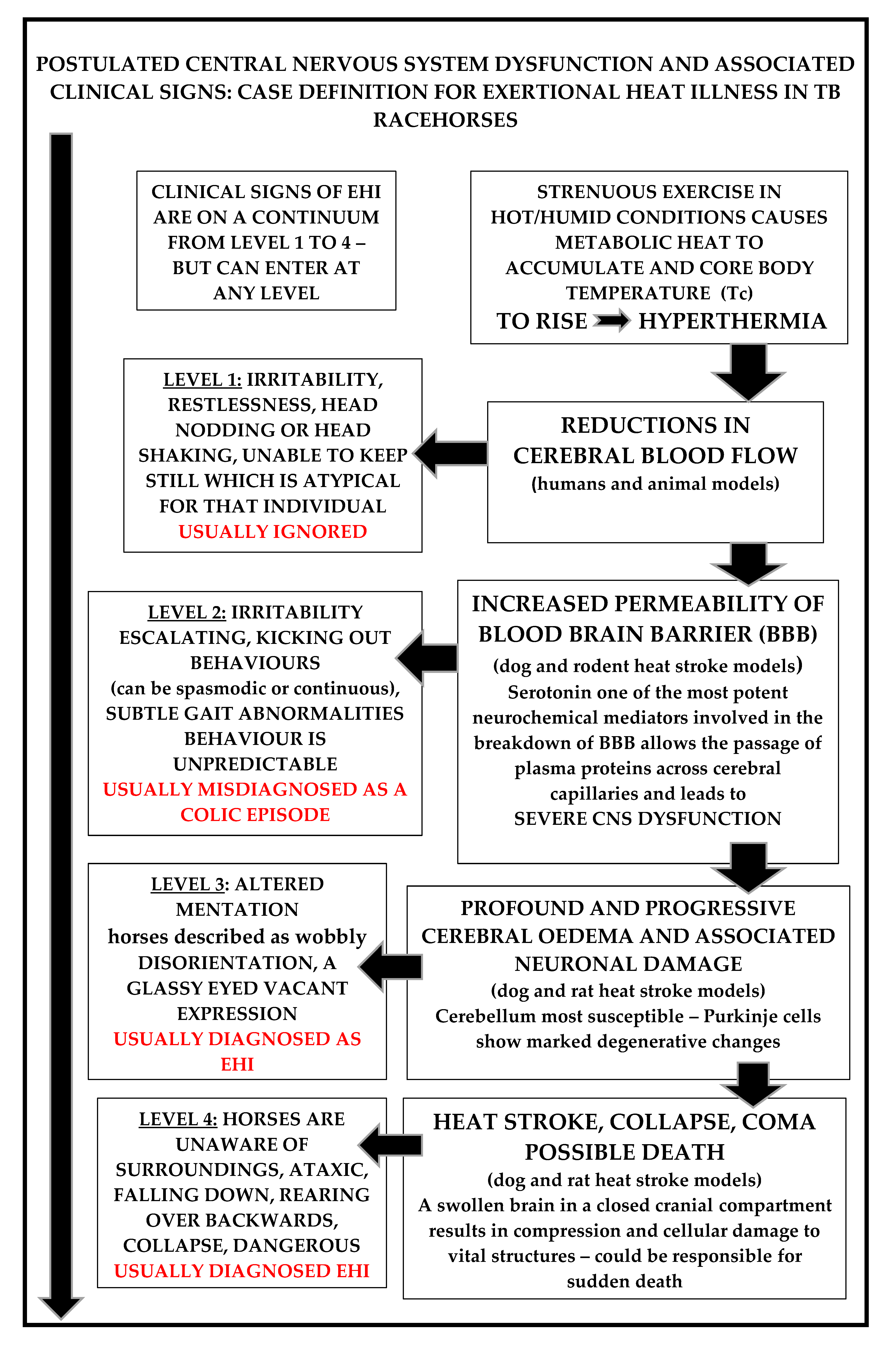 Animals 13 00610 g008 Animals 13 00610 g008