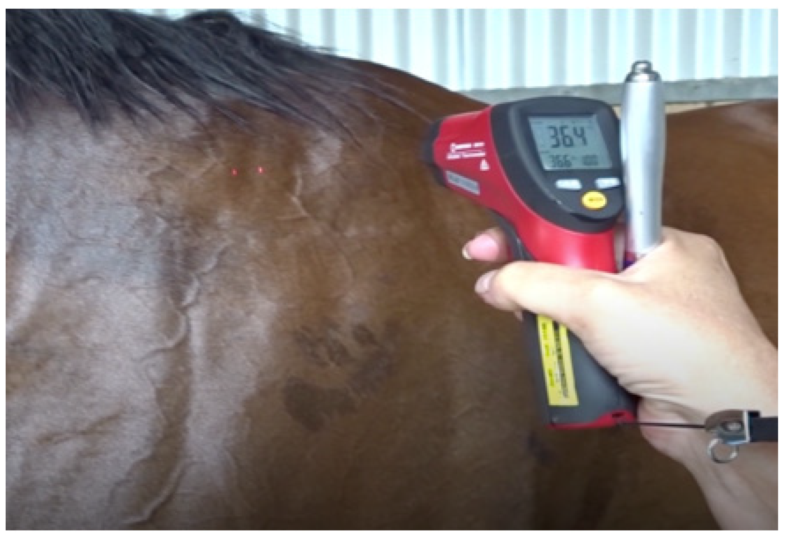 Animals 13 00610 g014 Animals 13 00610 g014