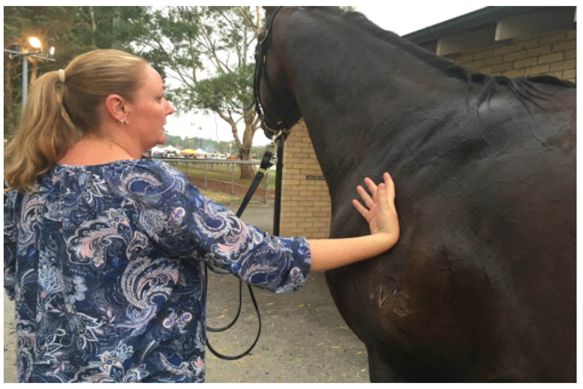 Animals 13 00610 g015 Animals 13 00610 g015