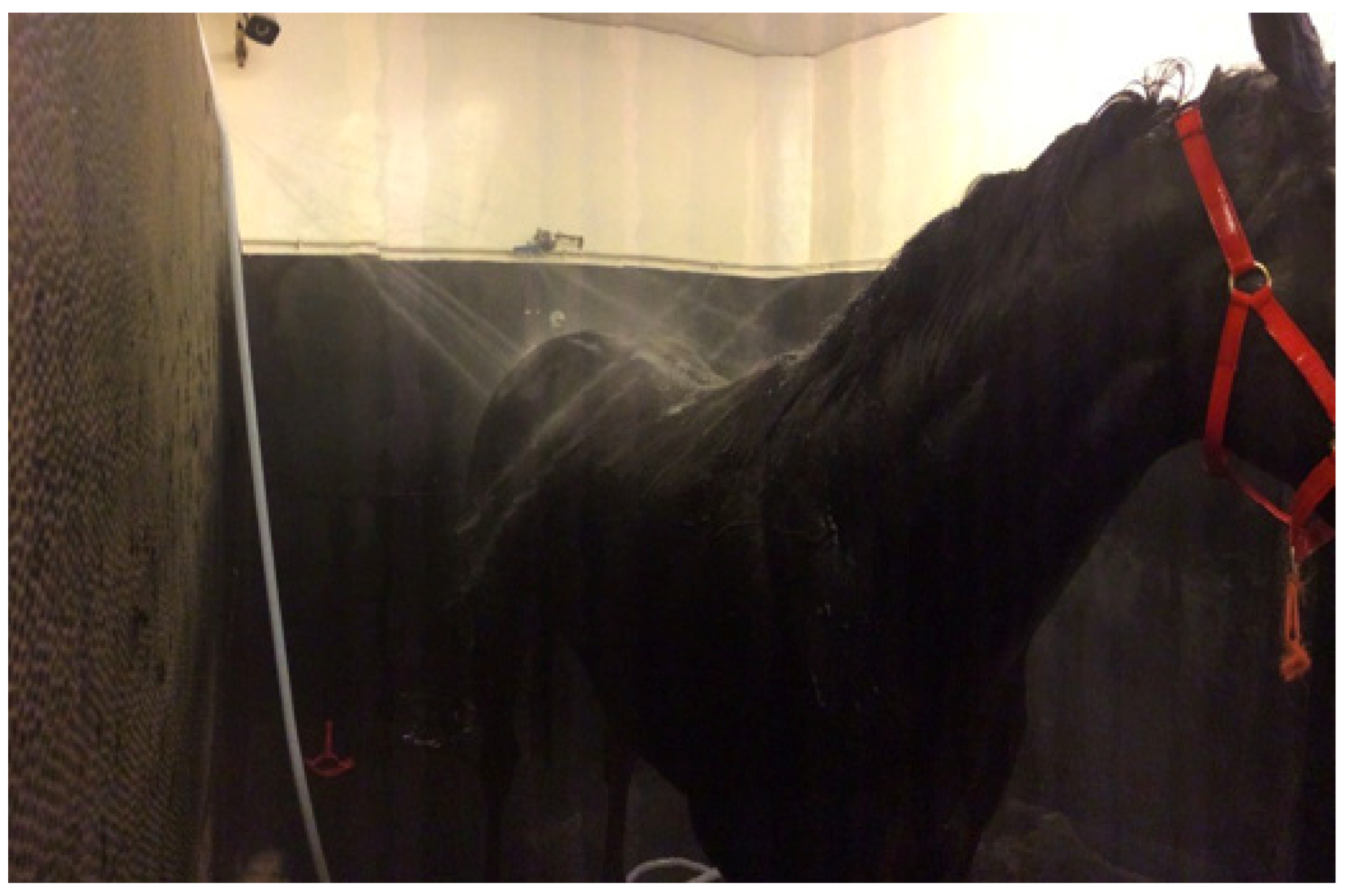 Animals 13 00610 g019 Animals 13 00610 g019