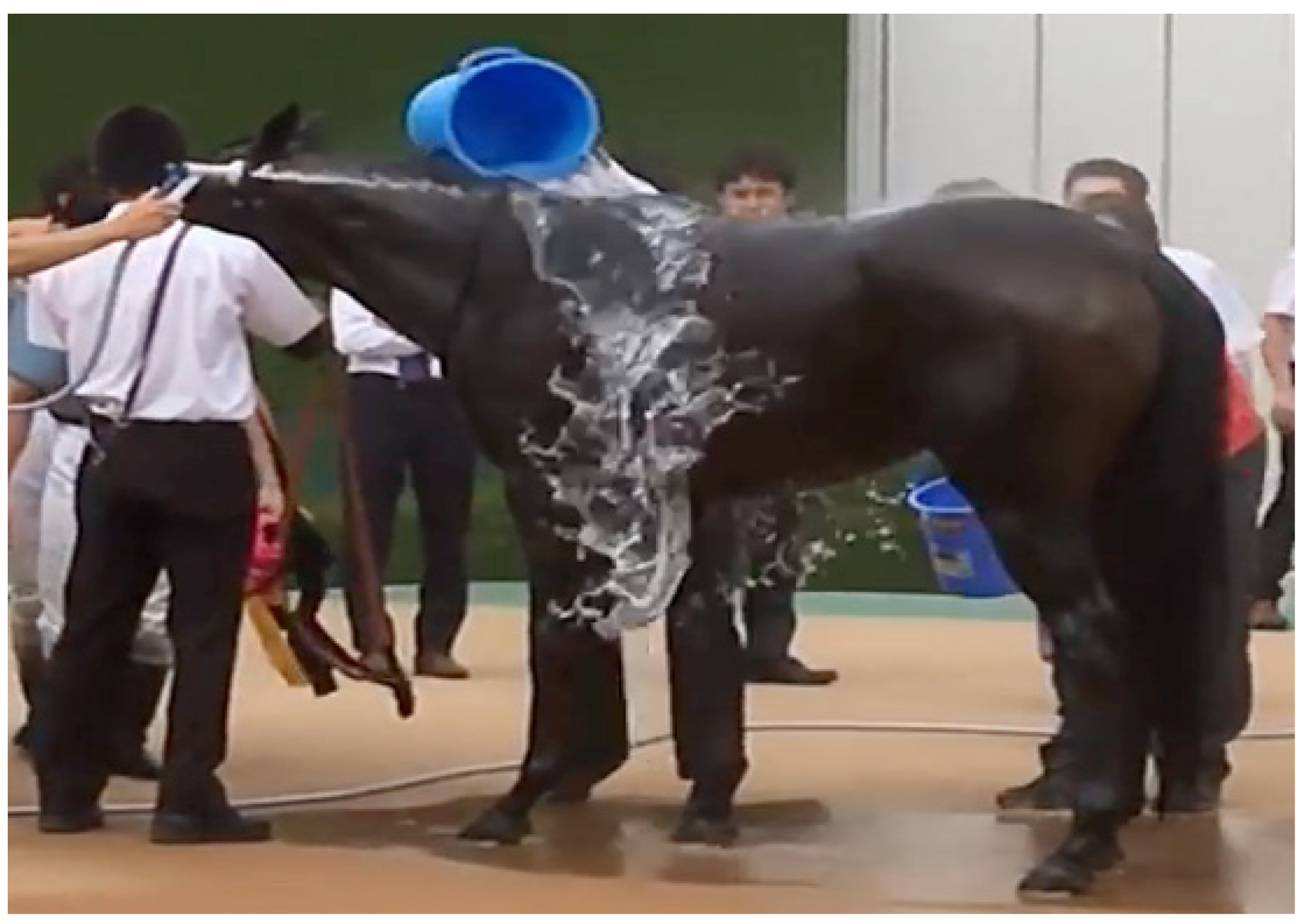 Animals 13 00610 g020 Animals 13 00610 g020