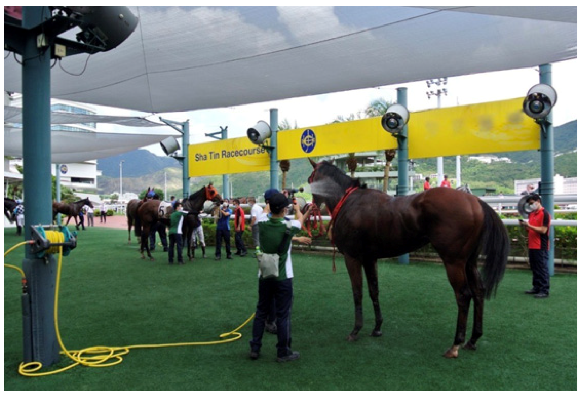 Animals 13 00610 g026 Animals 13 00610 g026