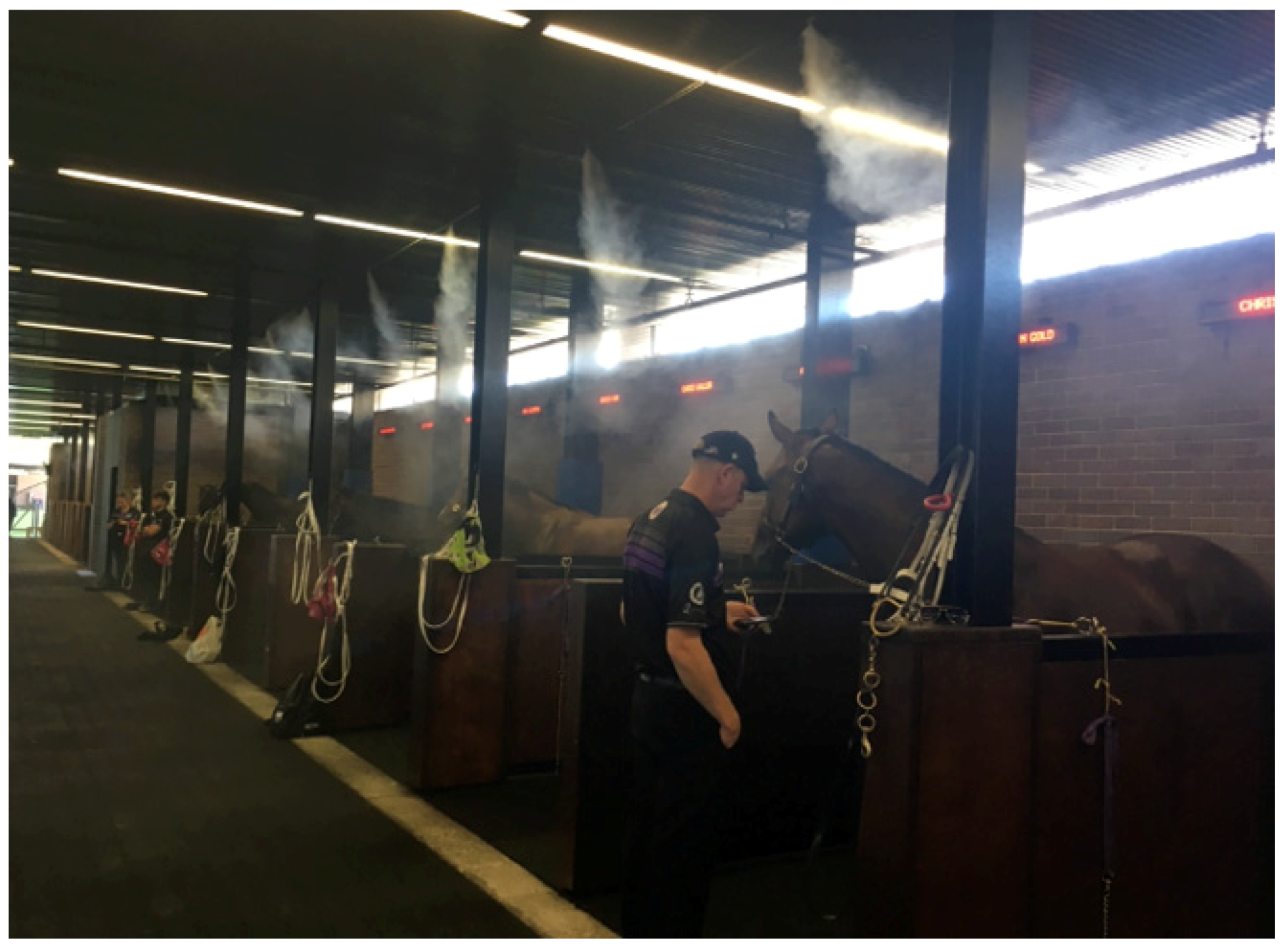 Animals 13 00610 g027 Animals 13 00610 g027