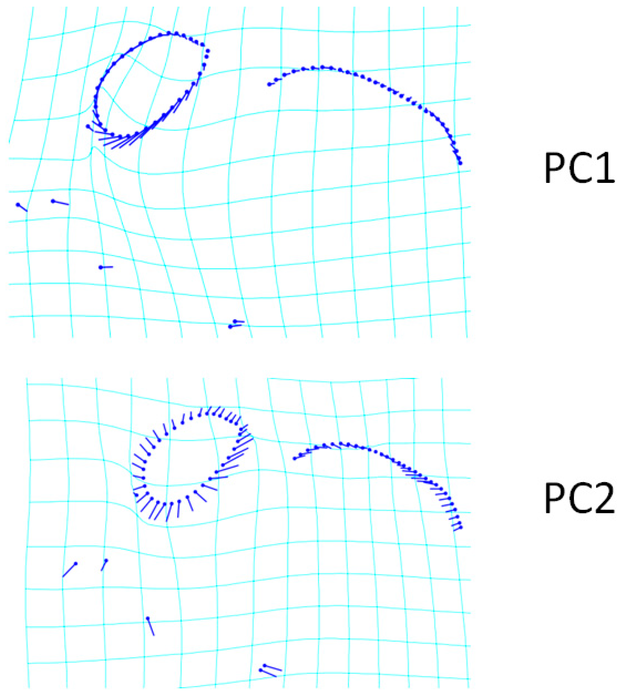 Animals 13 00614 g002