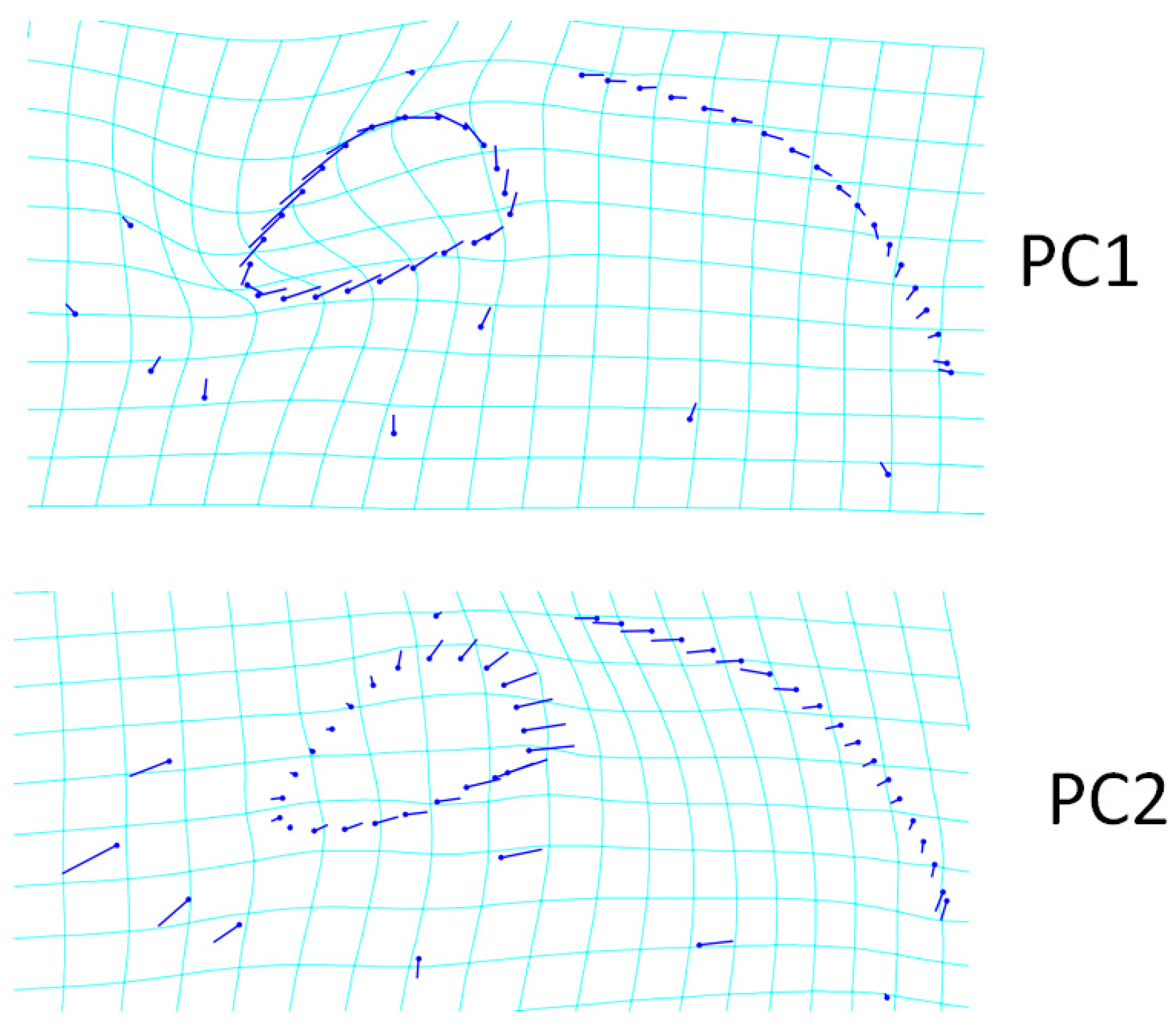 Animals 13 00614 g003