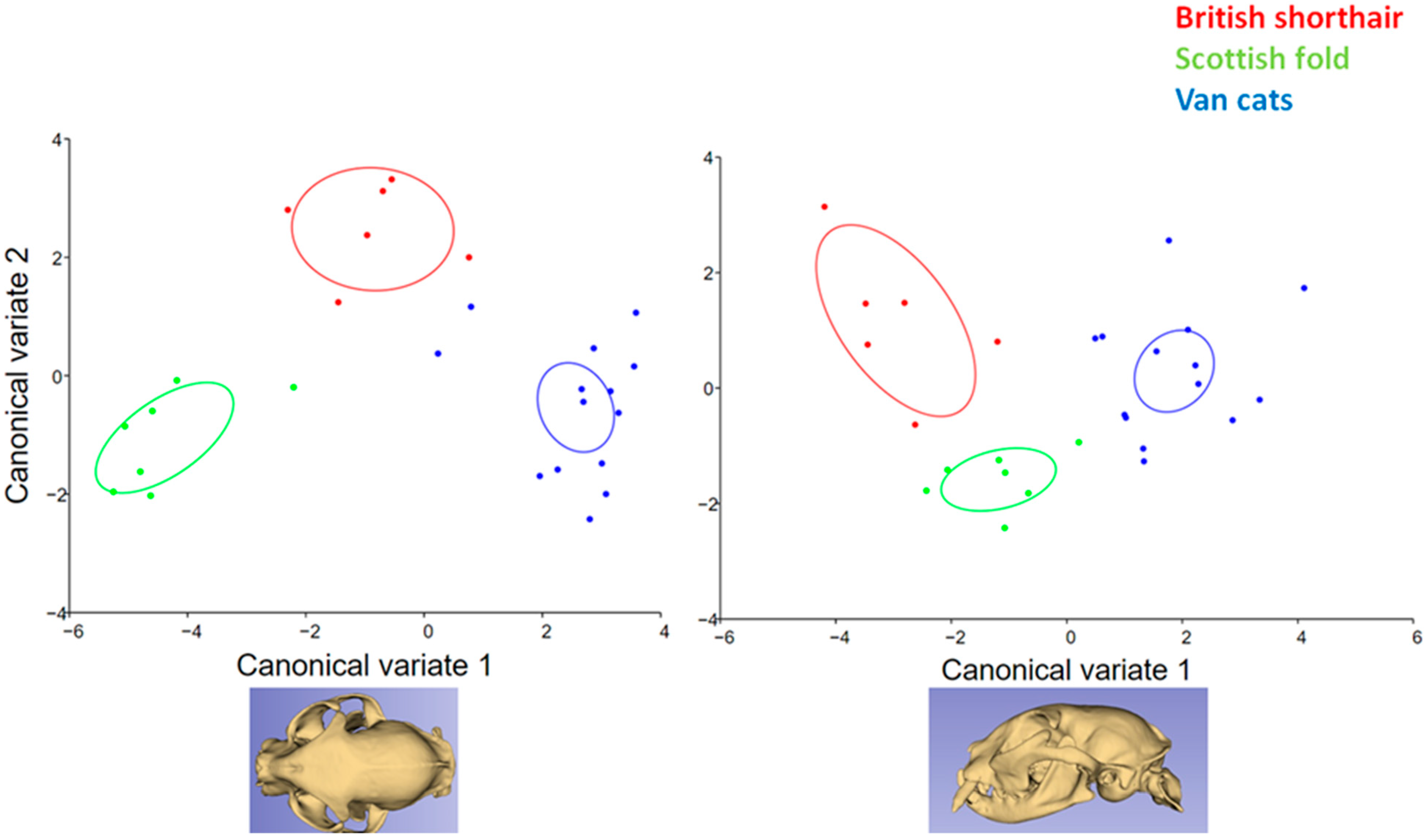 Animals 13 00614 g006