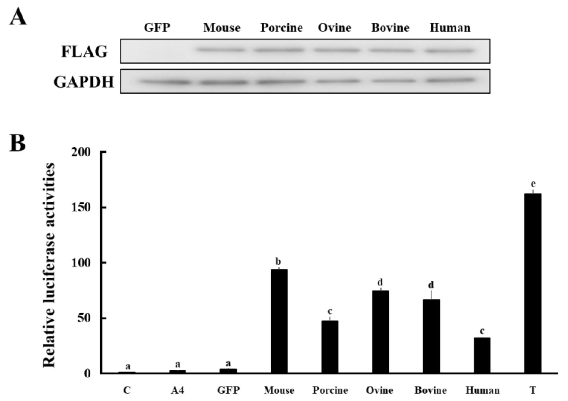 Animals 13 00622 g004