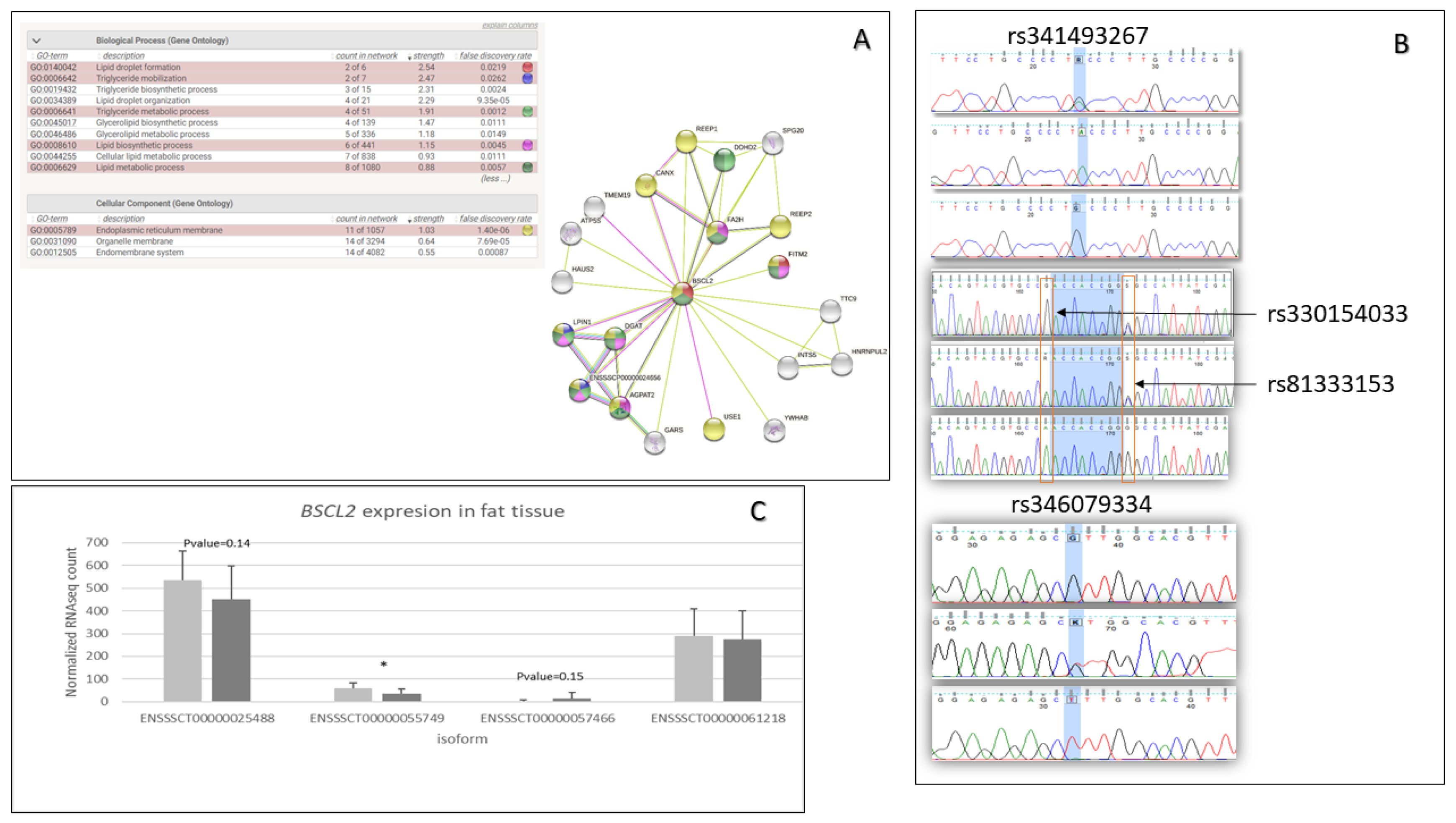 Animals 13 00641 g002