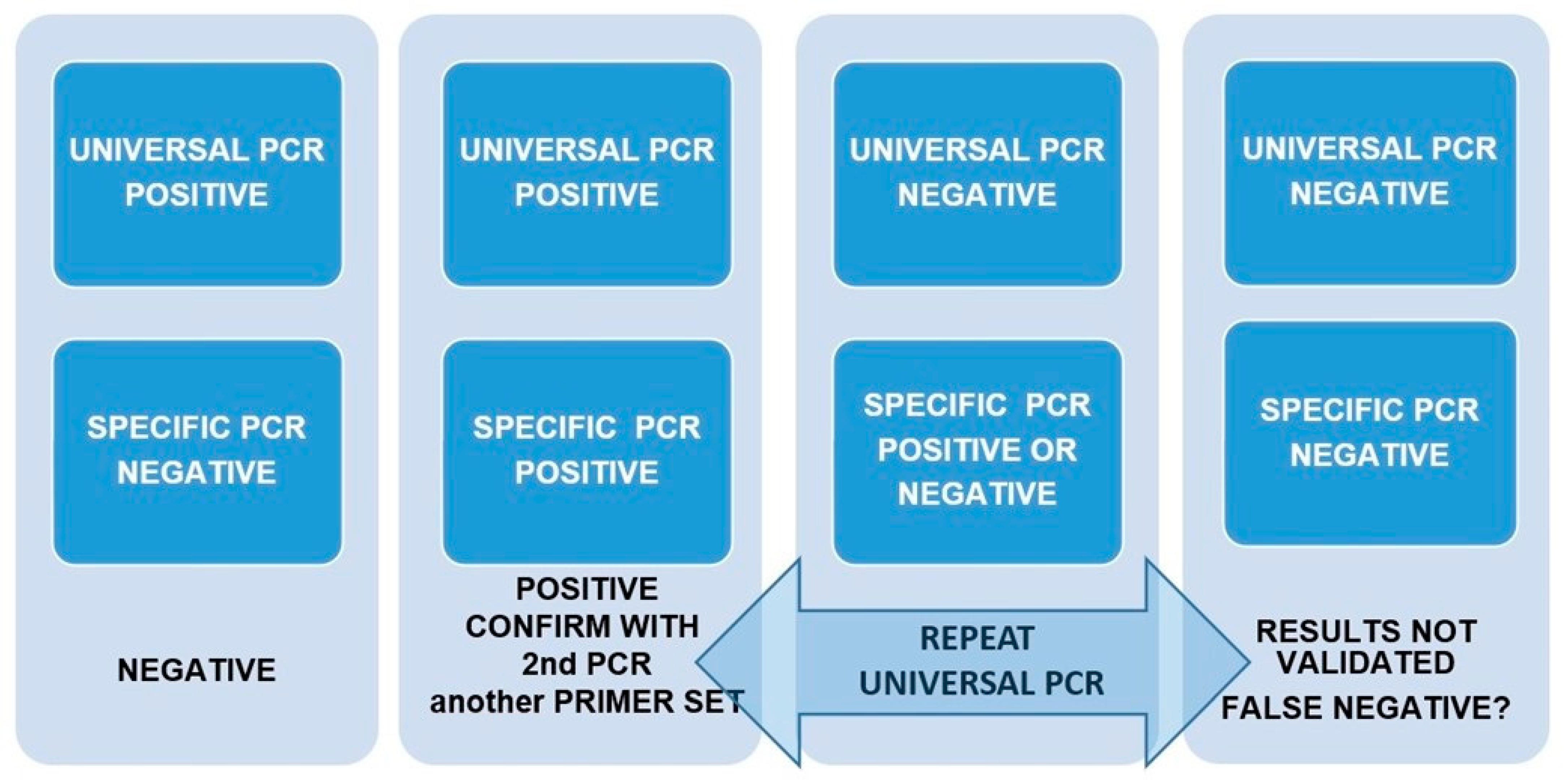 Animals 13 00683 g002