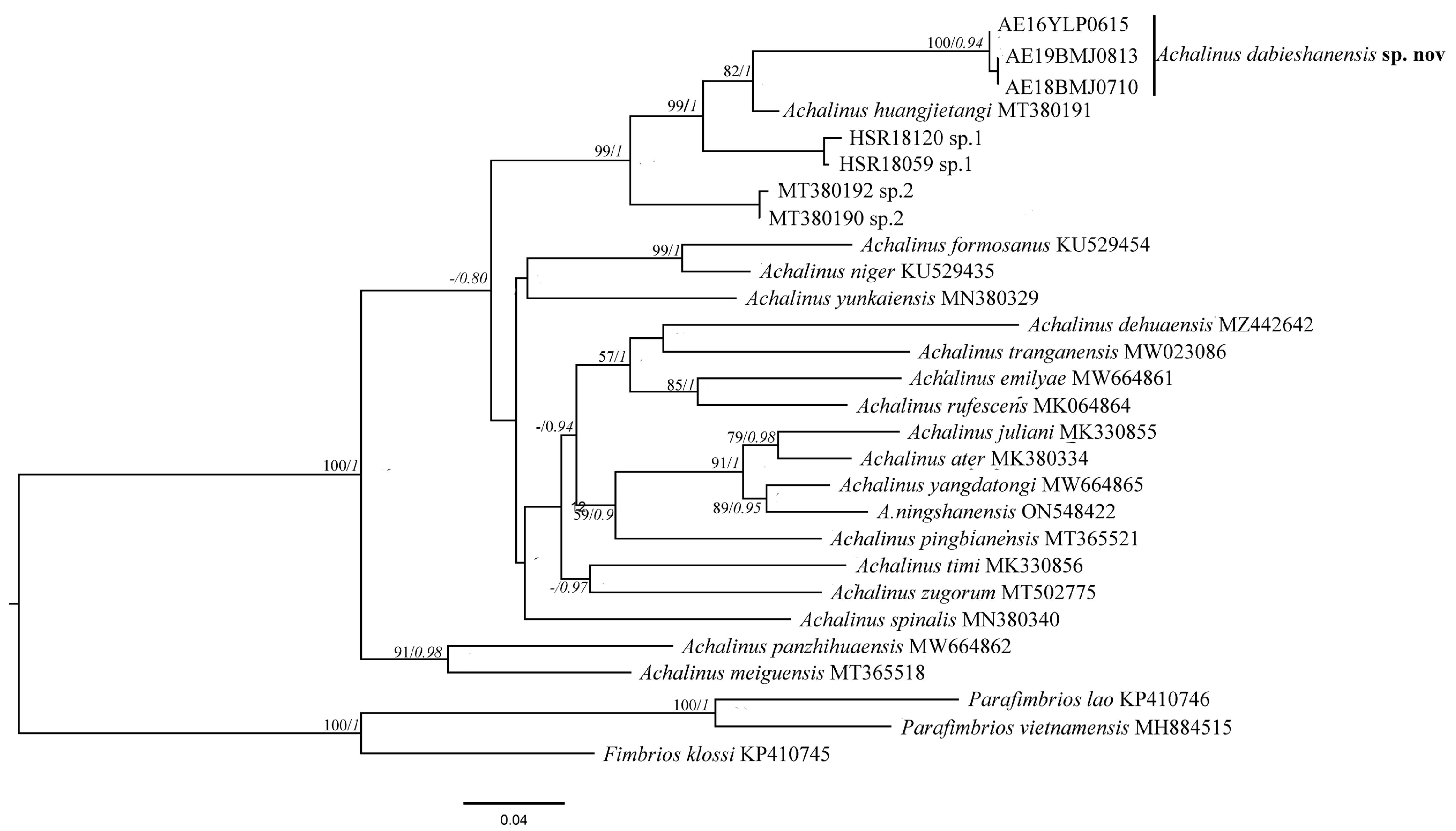 Discovery of a New Species of Enigmatic Odd-Scaled Snake