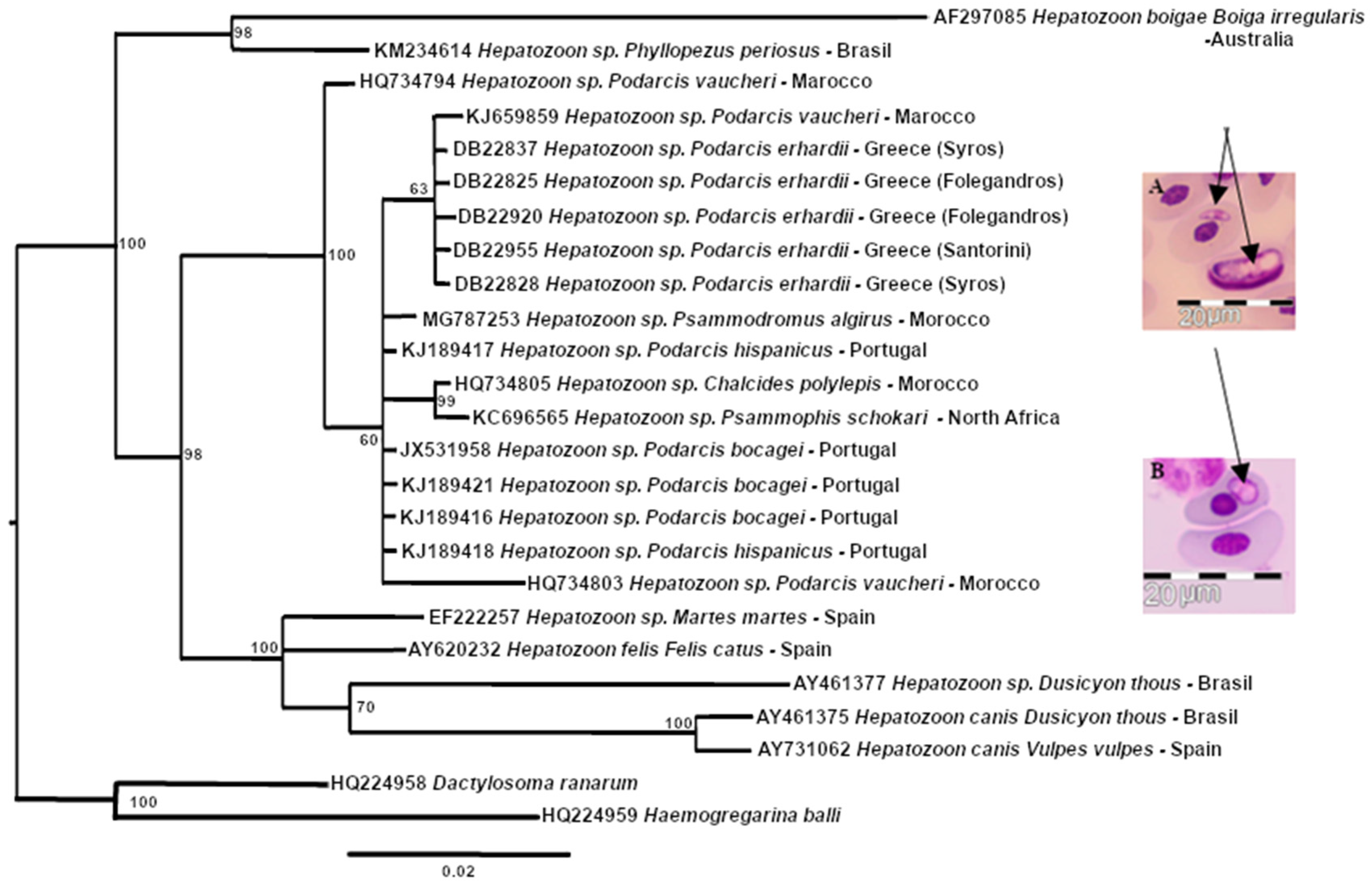 Animals 13 00723 g003 Animals 13 00723 g003
