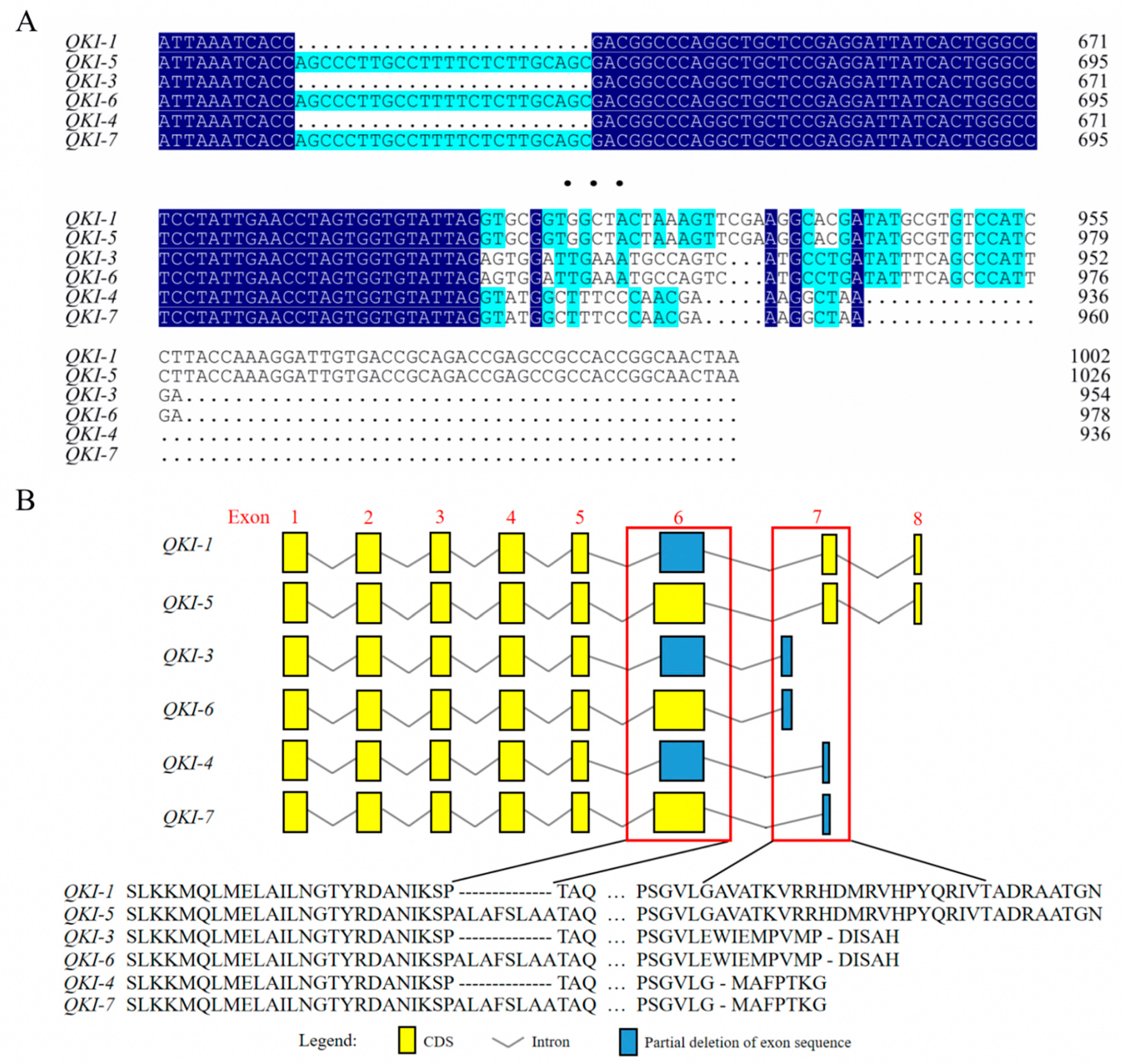 Animals 13 00725 g001 Animals 13 00725 g001