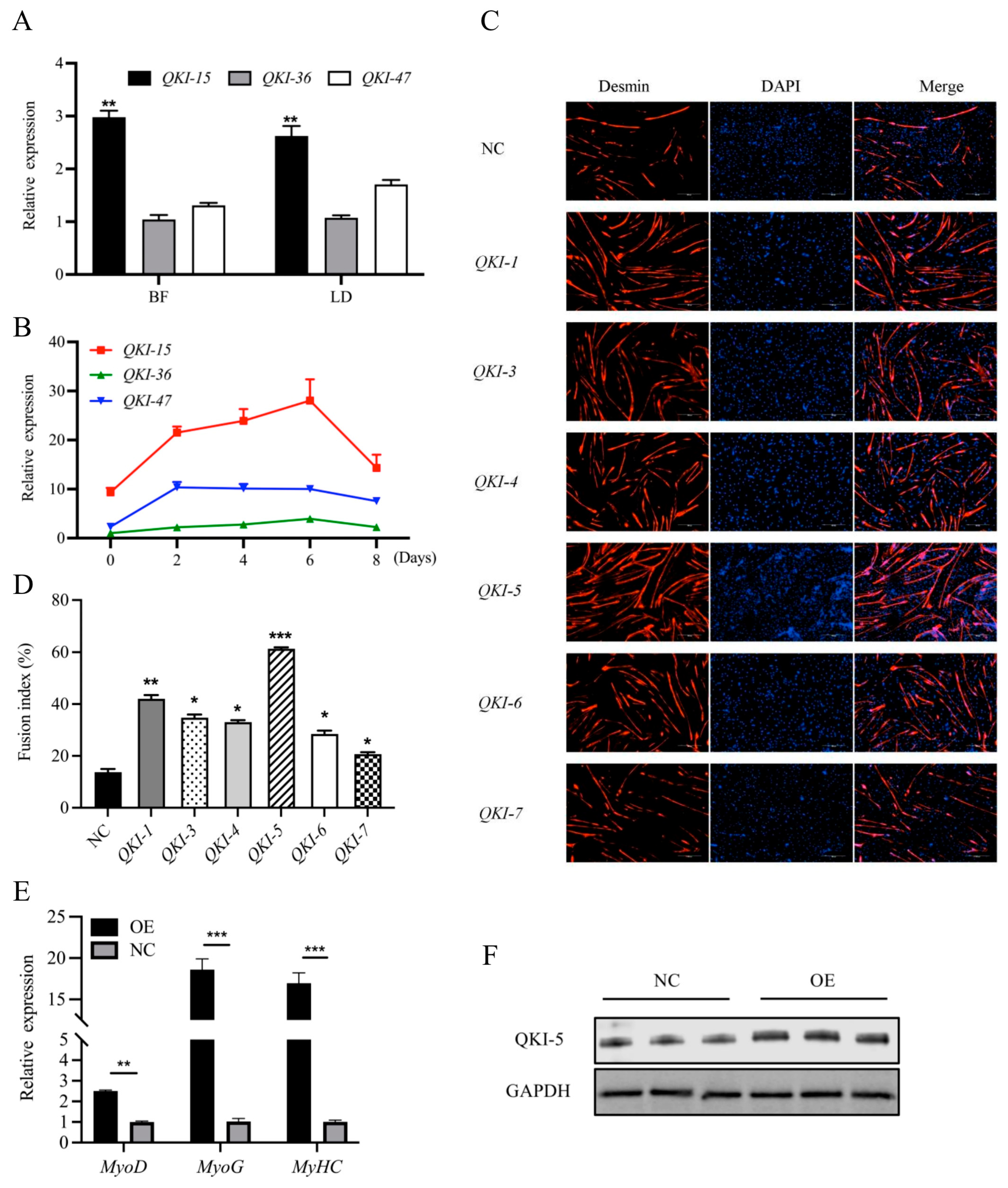 Animals 13 00725 g002 Animals 13 00725 g002
