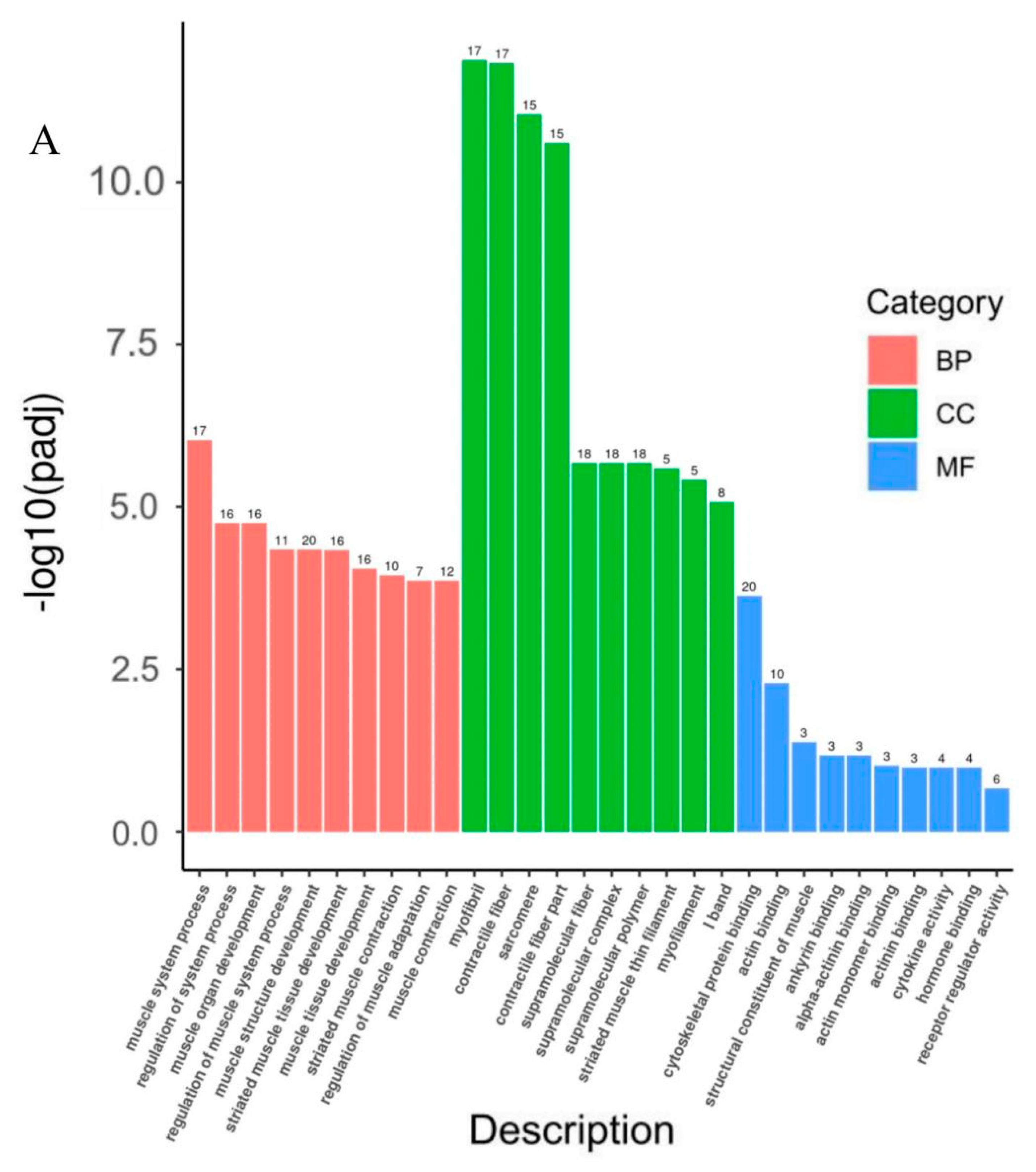 Animals 13 00725 g004a Animals 13 00725 g004a