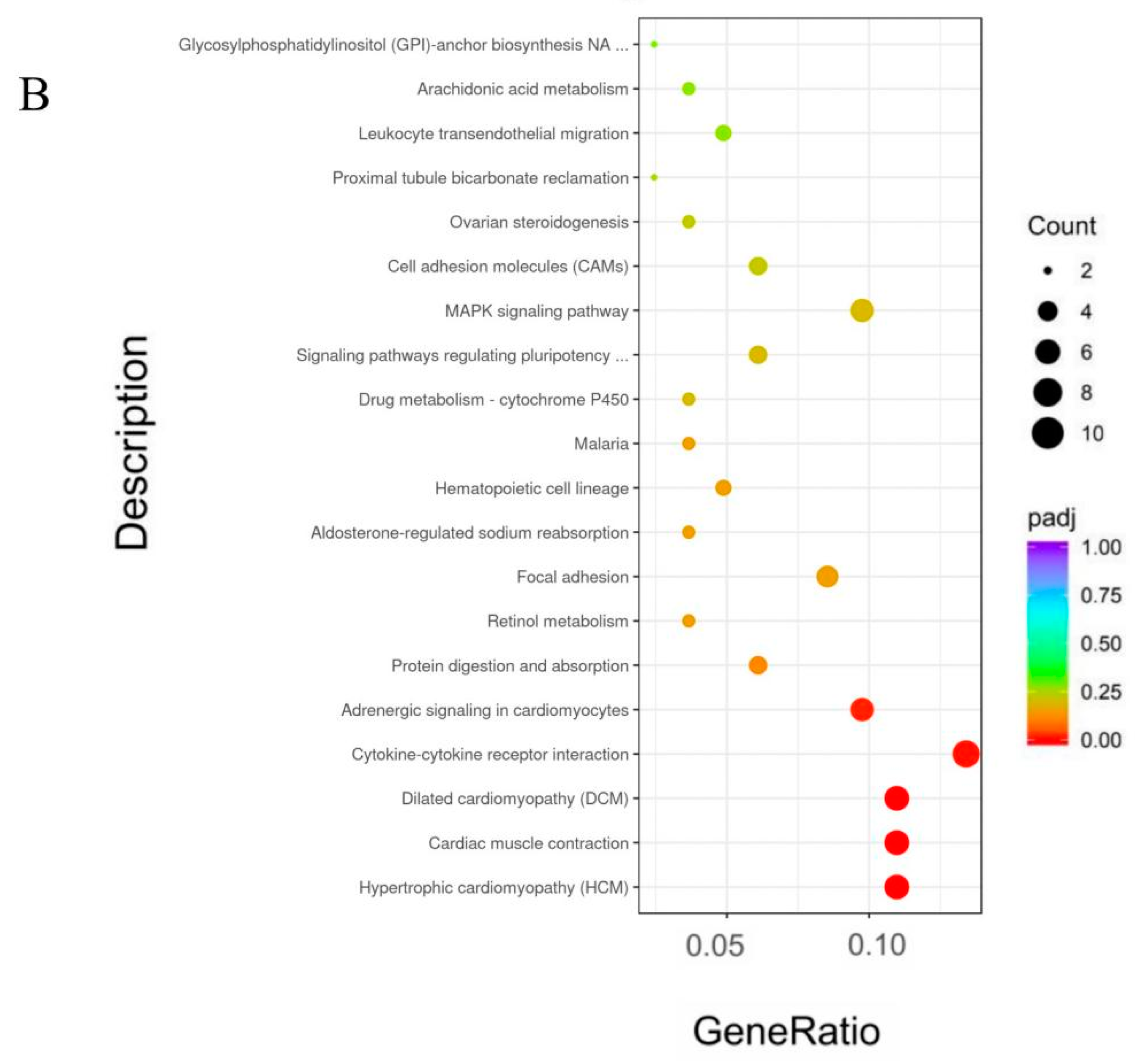 Animals 13 00725 g004b Animals 13 00725 g004b