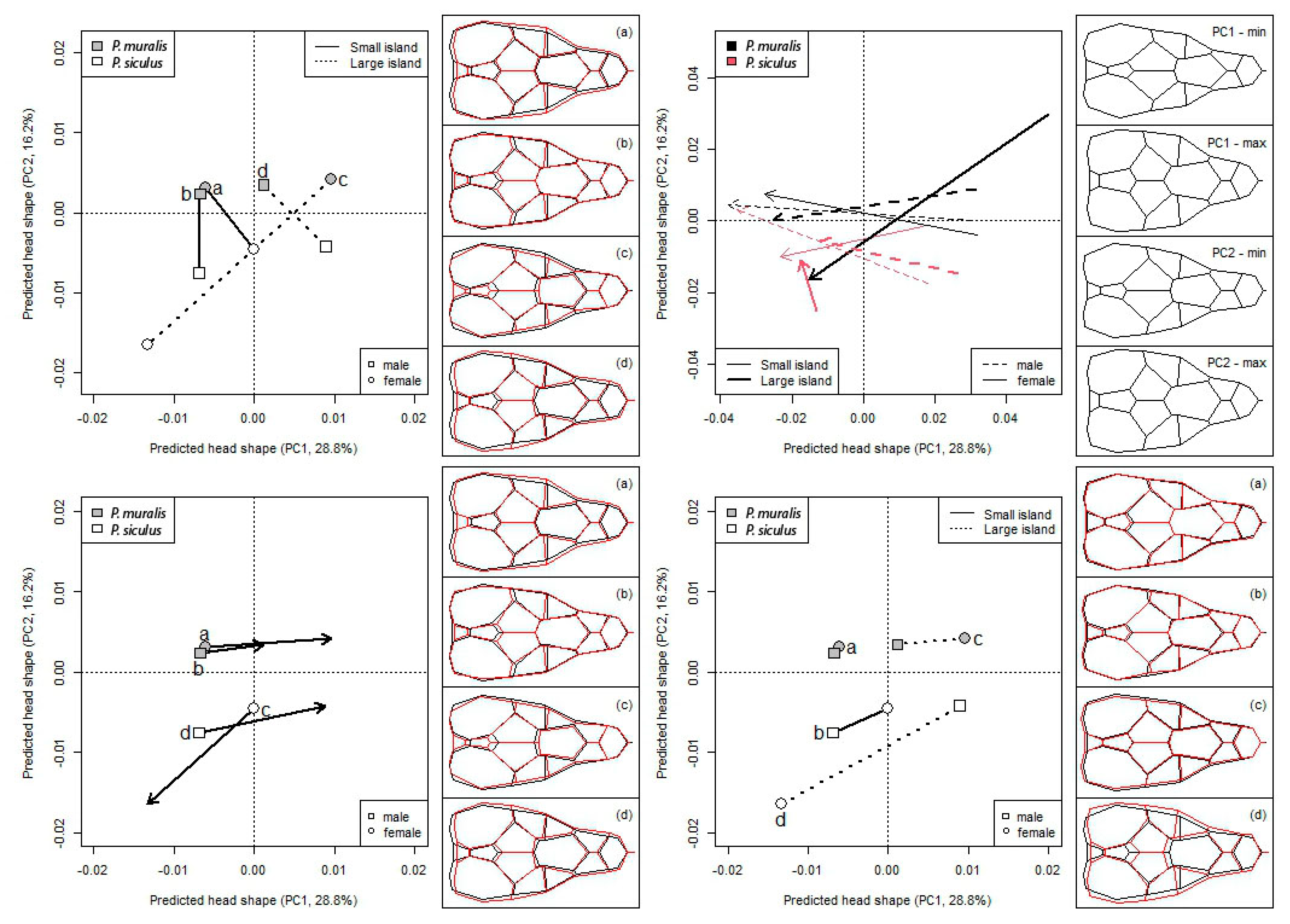 Animals 13 00736 g003 Animals 13 00736 g003