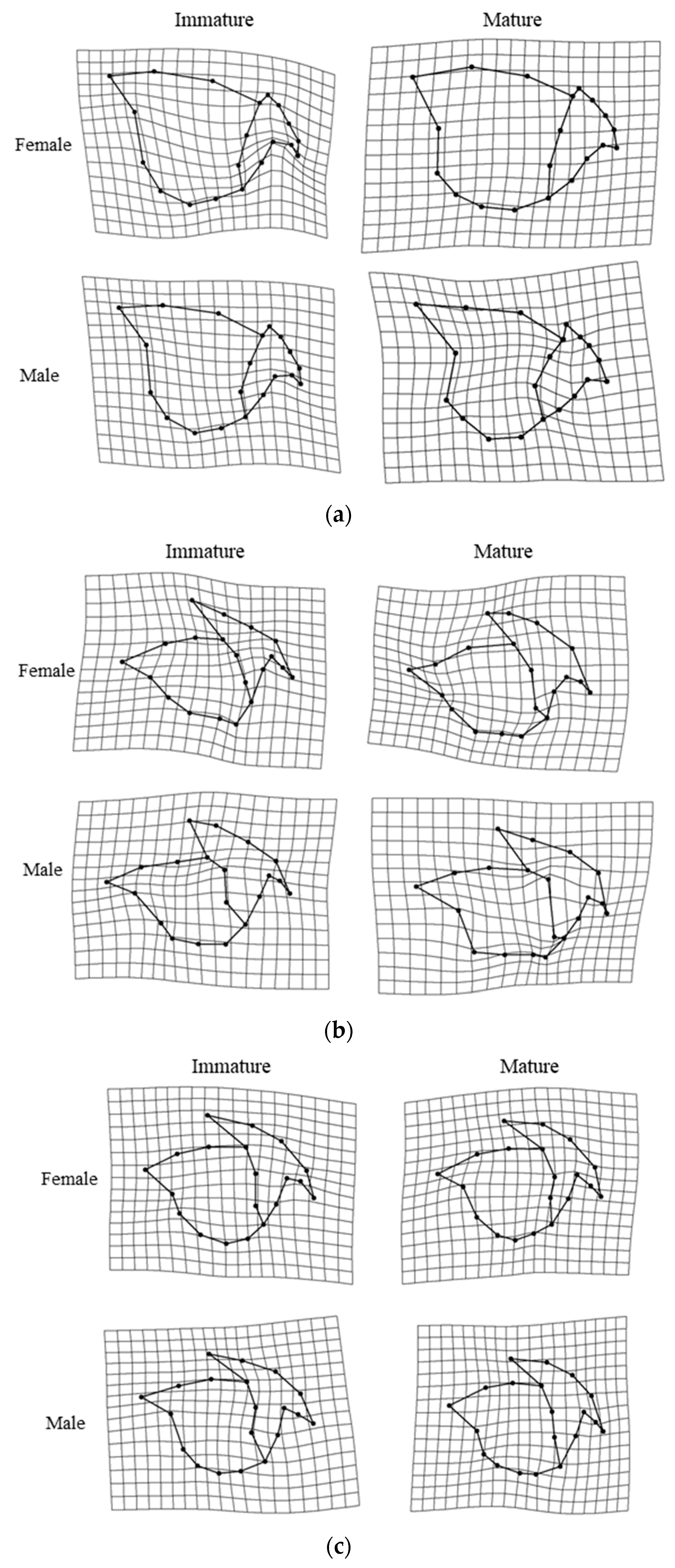 Animals 13 00752 g004a Animals 13 00752 g004a