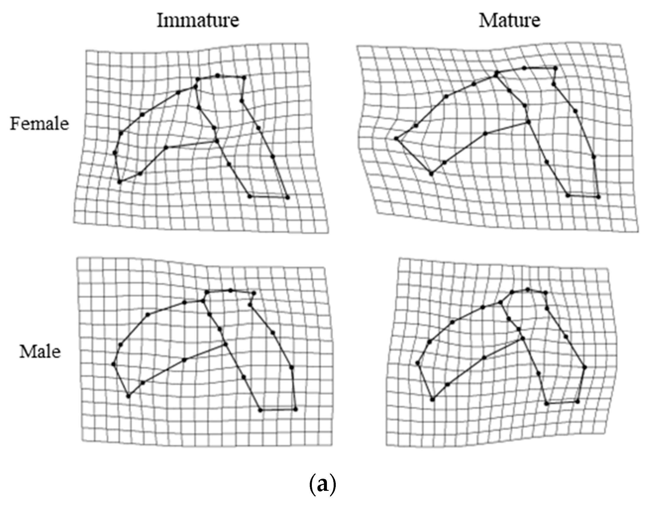 Animals 13 00752 g007a Animals 13 00752 g007a