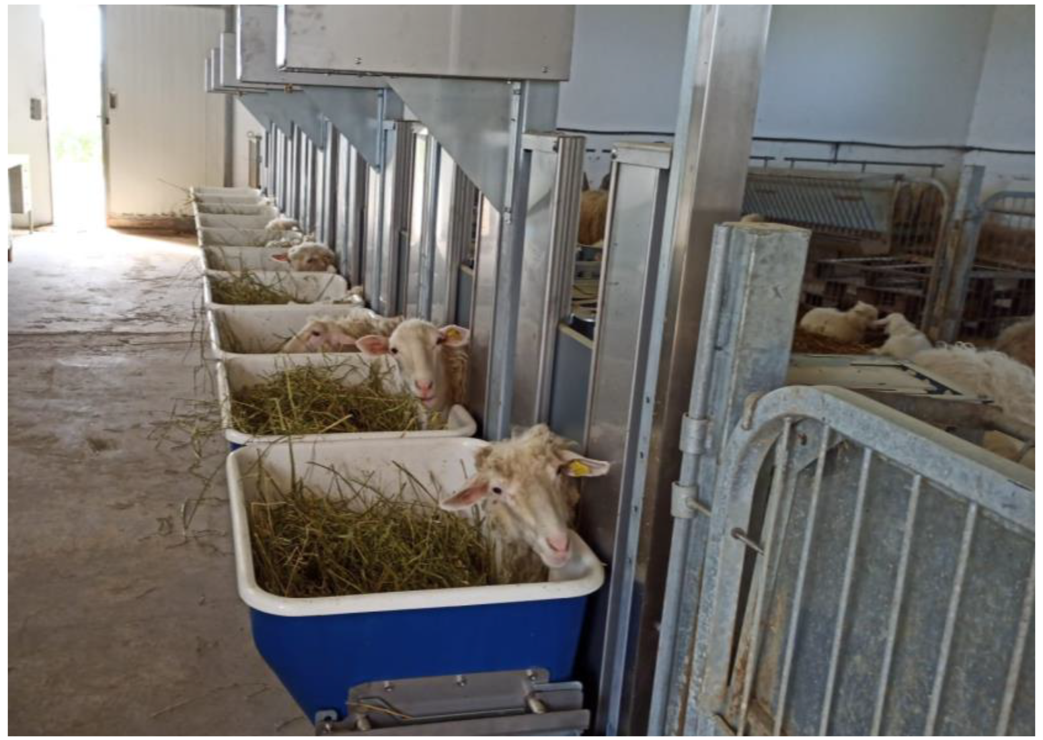 Animals 13 00763 g001 Animals 13 00763 g001