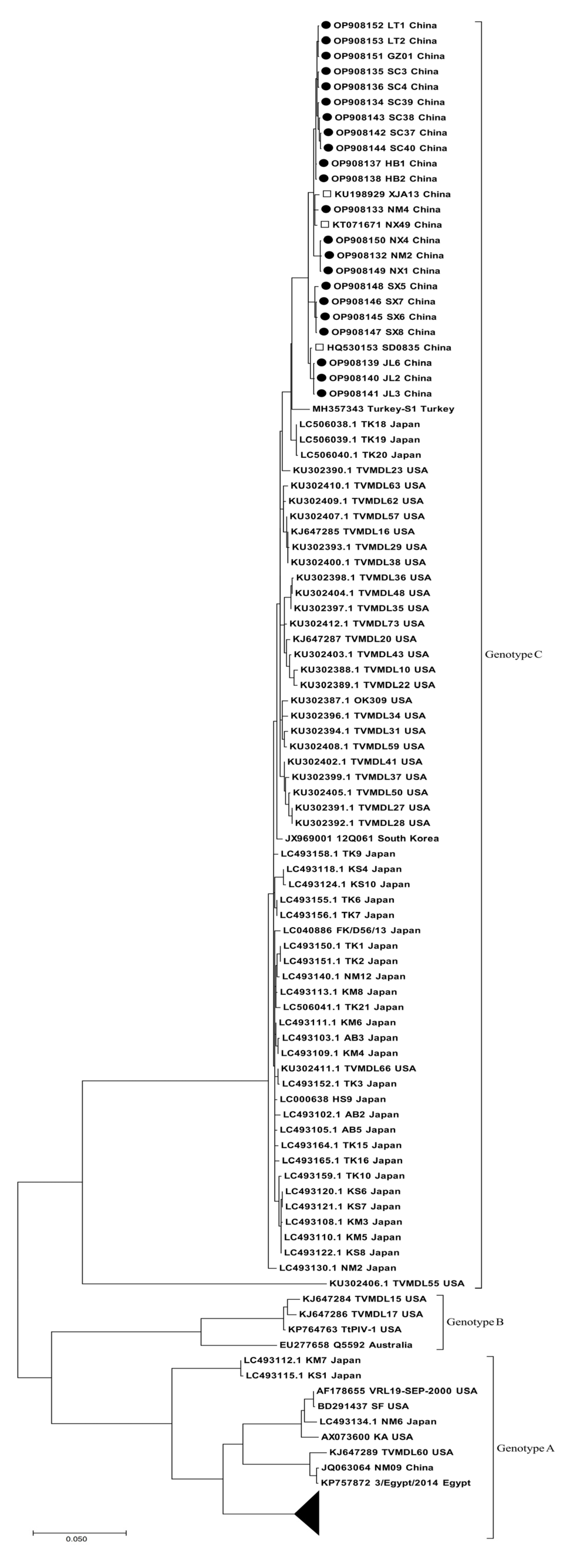 Animals | Free Full-Text | Prevalence and Molecular Characterization of ...