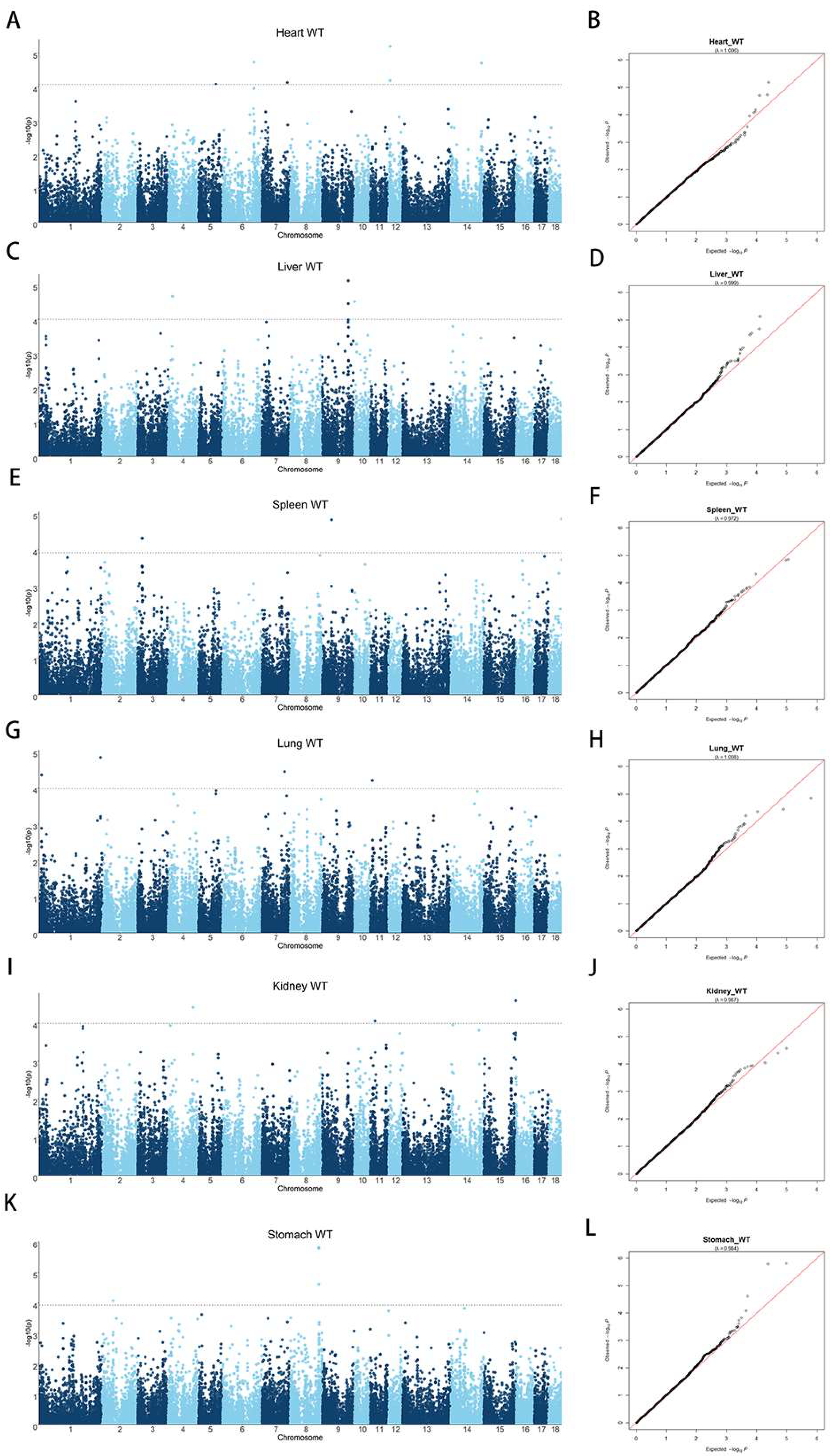 Animals 13 00808 g002
